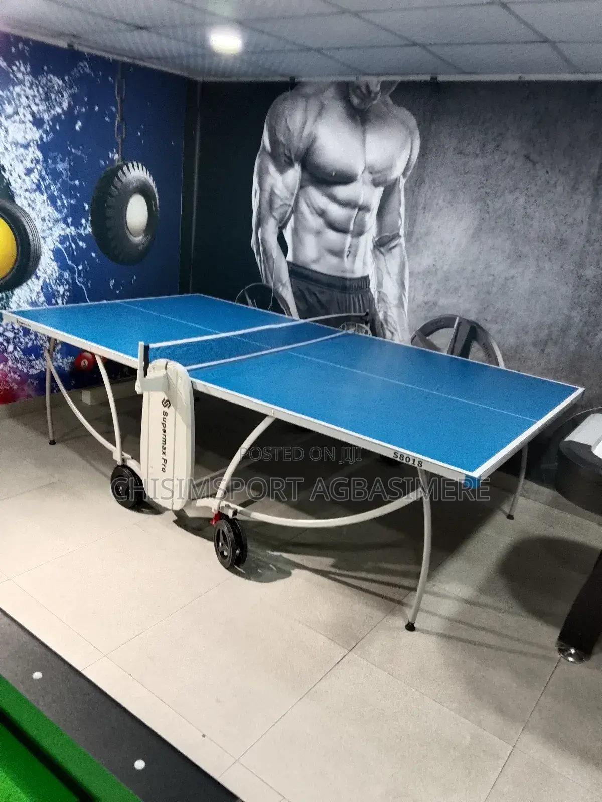 Table Tennis Board Pro Lite