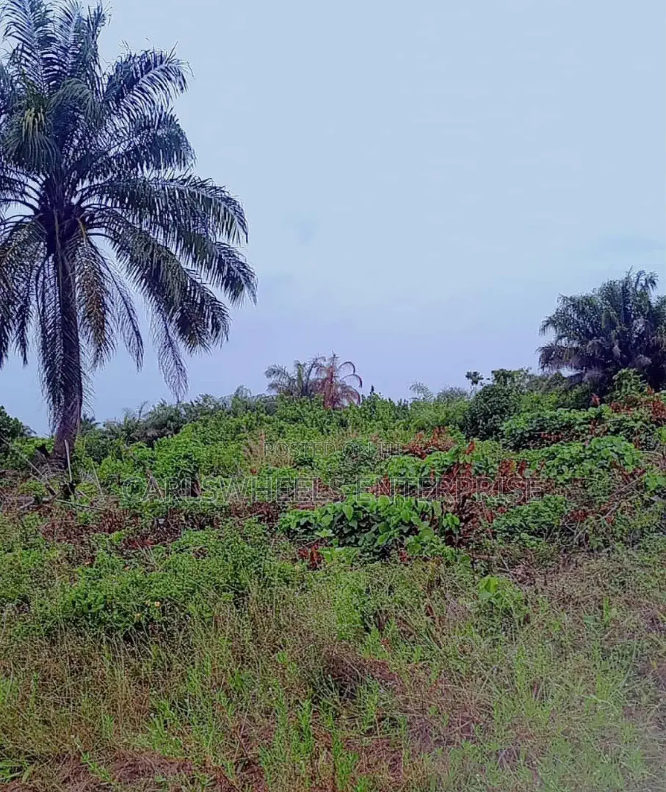 800sqm Dry Land in Ajayi Apata Estate(Beside Fara Park Estate) Ajah.
