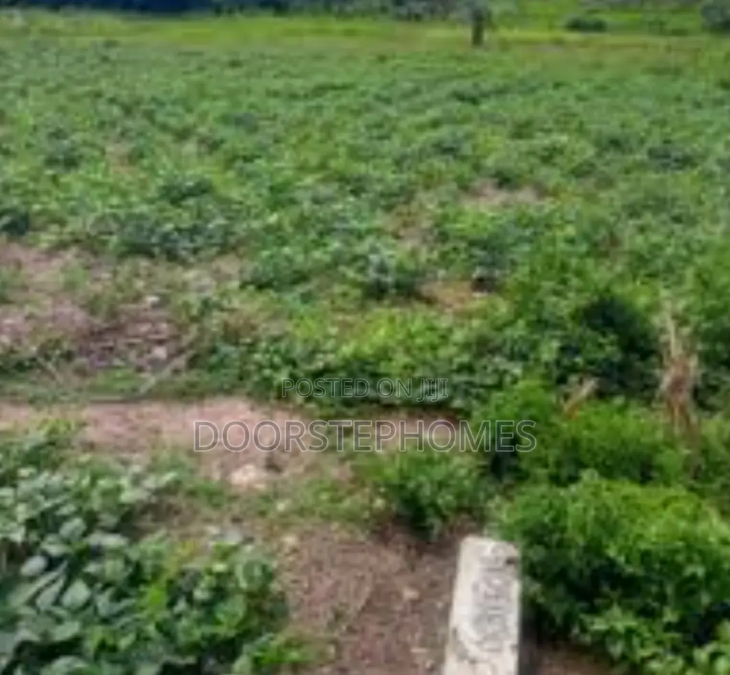 1124.02sqm Residential Land For Sale In Gwarimpa 2