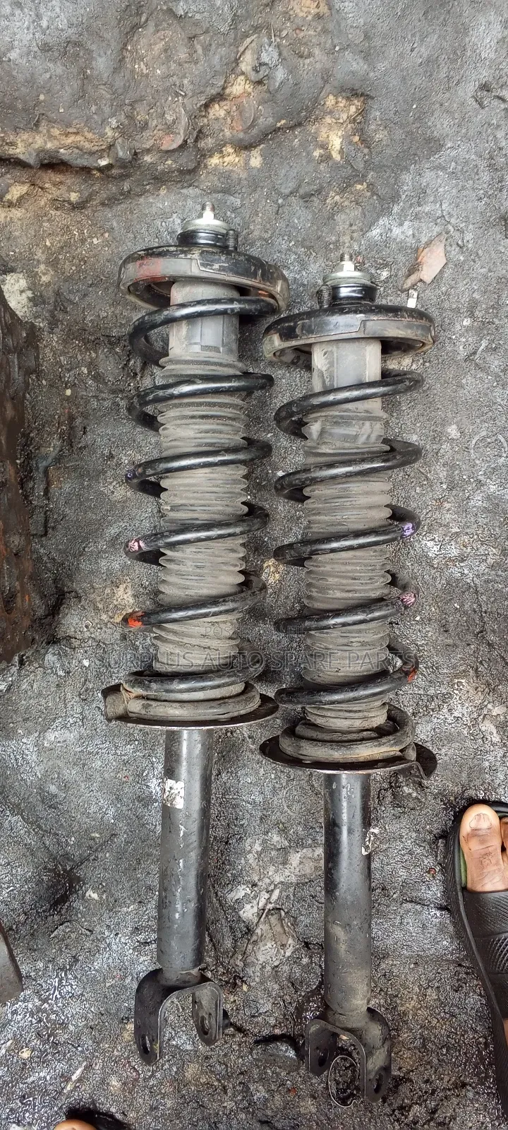 Back Shock Absorber for 08 Accord V6