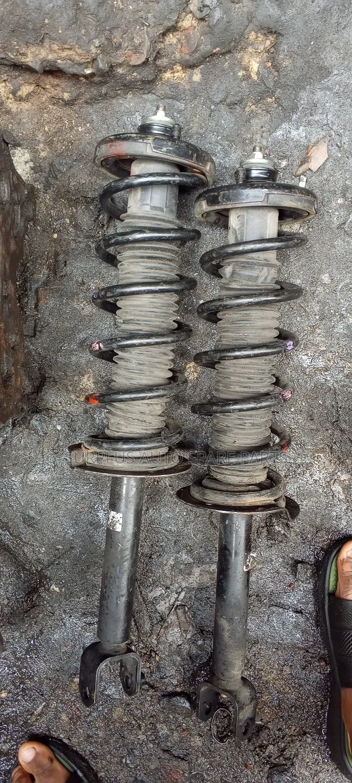 Back Shock Absorber for 08 Accord V6