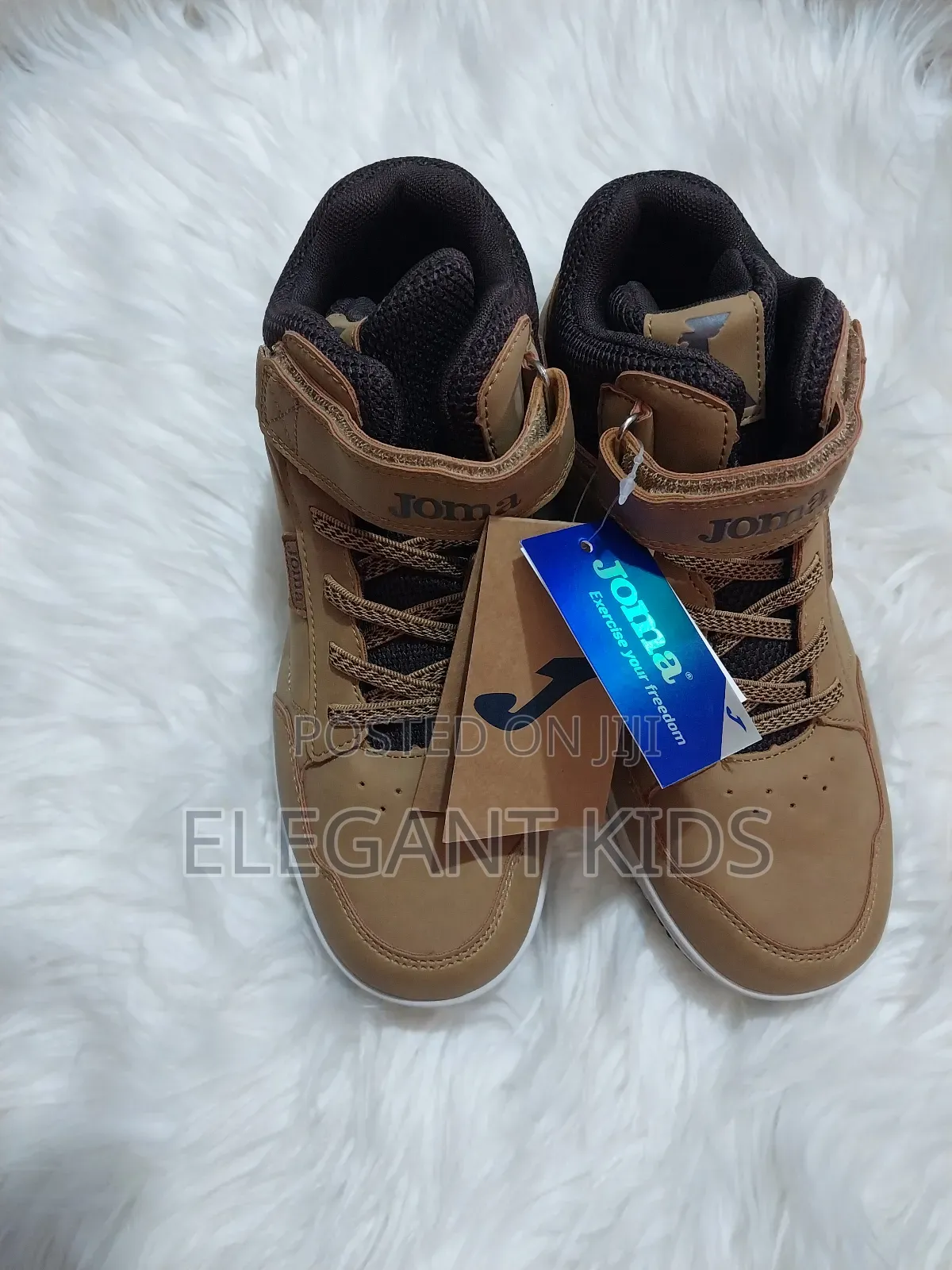 High-Top Carton Colour Canvas