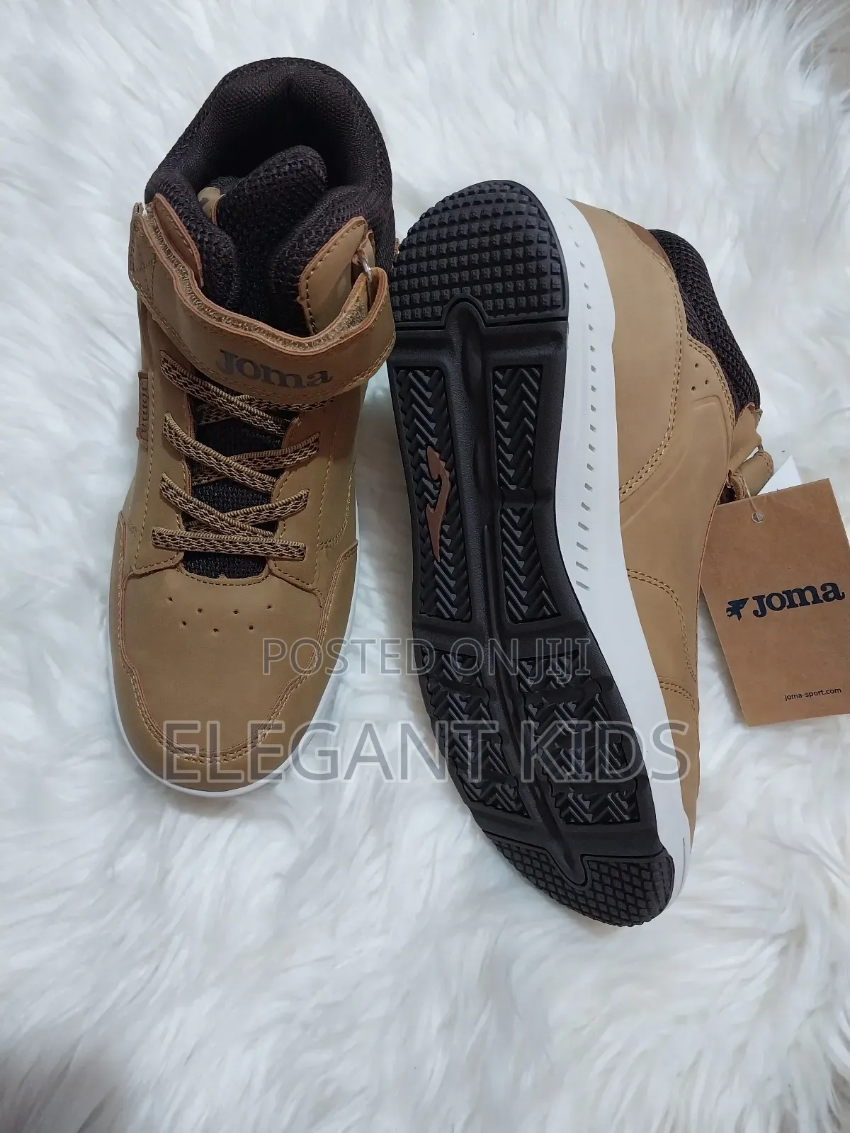 High-Top Carton Colour Canvas