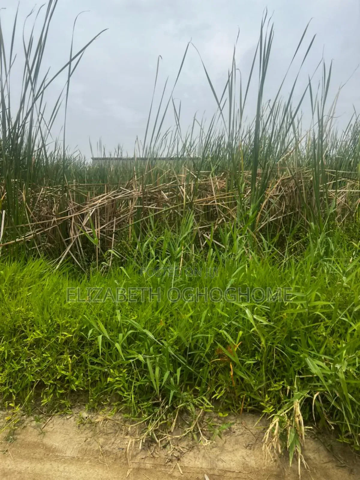 Buy And Build Land With C Of O At Sangotedo, Ajah