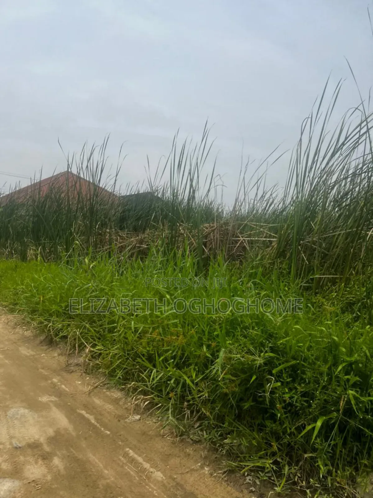 Buy And Build Land With C Of O At Sangotedo, Ajah