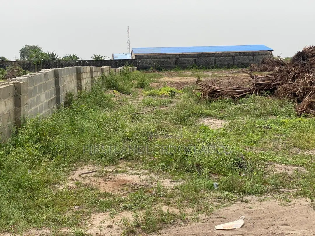 Edo Mega City