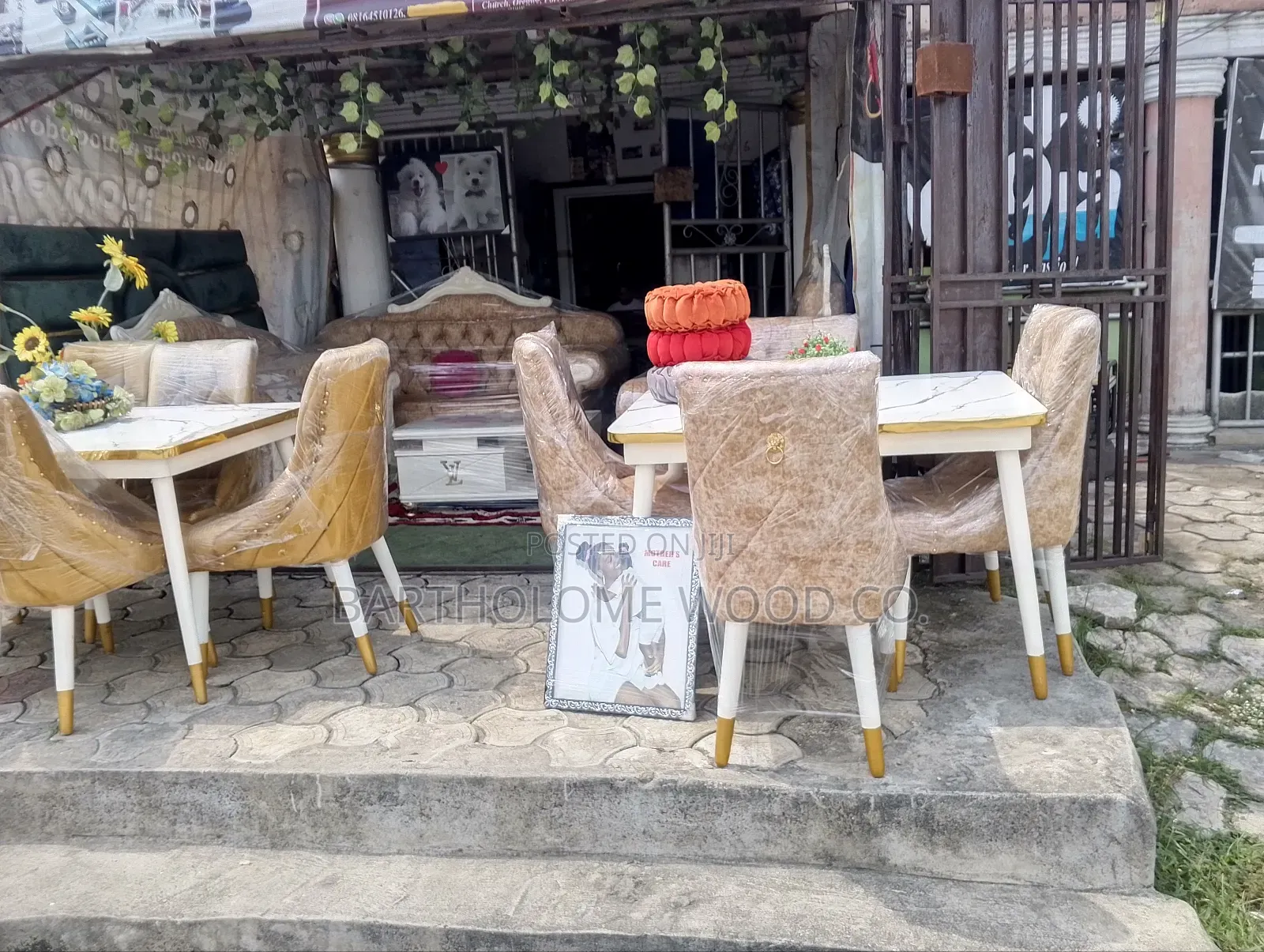 Dinning Chairs
