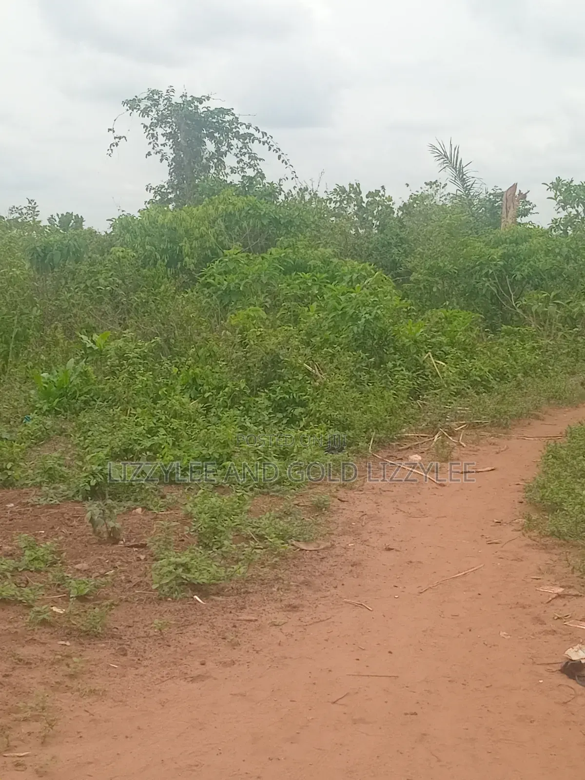 About 200 Acres of Land, for Sale, at #3,000,000 60 by 120 Per Plot