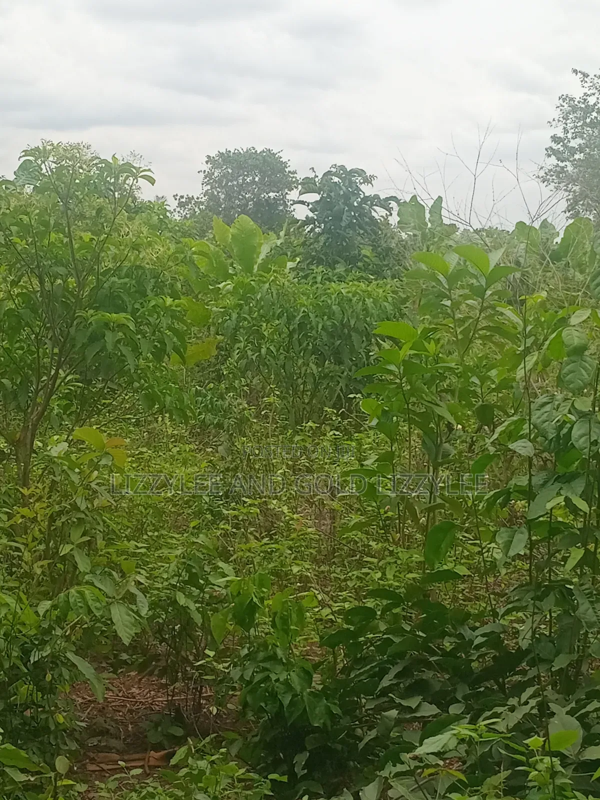 About 200 Acres of Land, for Sale, at #3,000,000 60 by 120 Per Plot