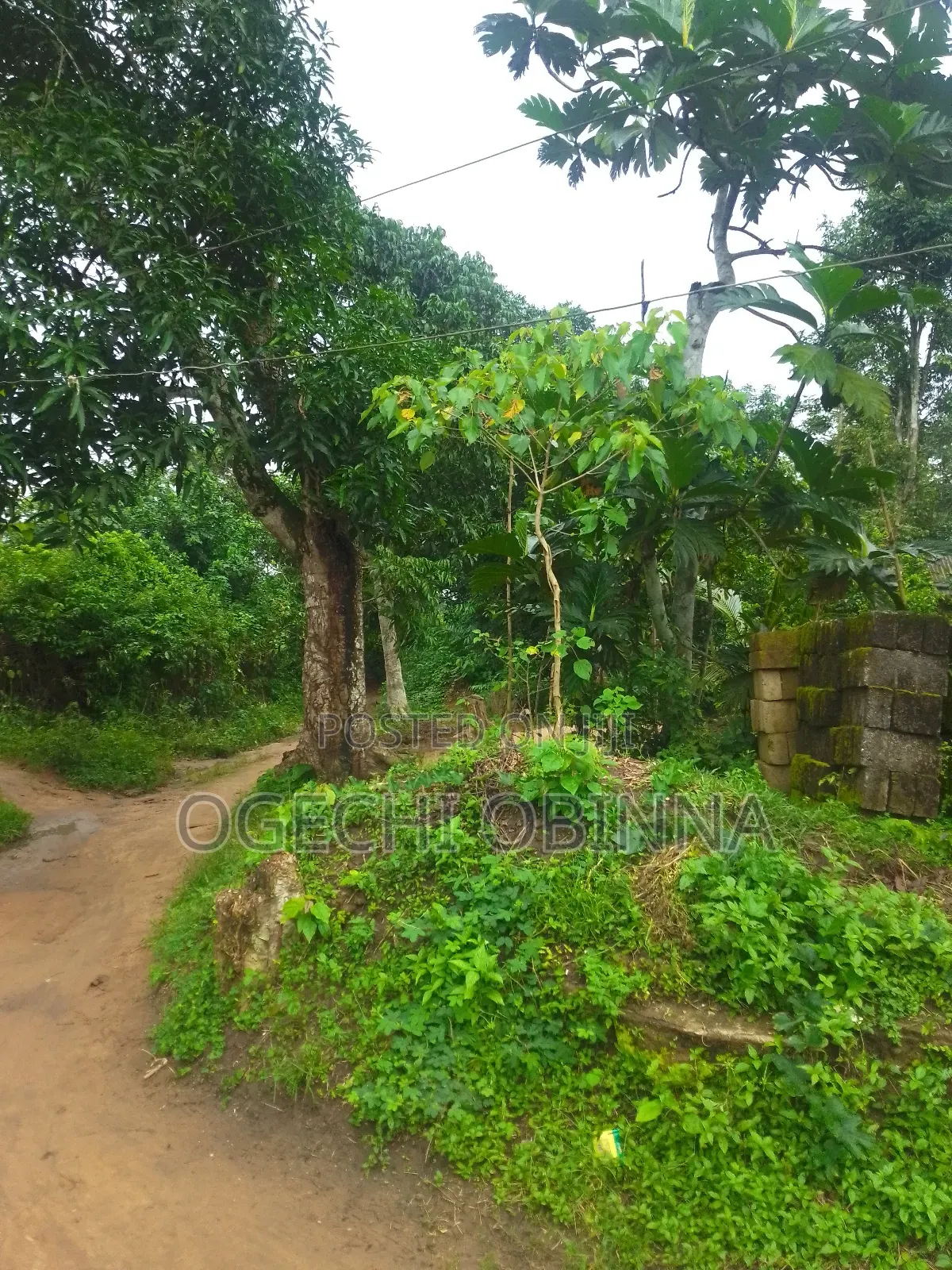 Distress Buy and Build Land for Sale at Etche Rivers State