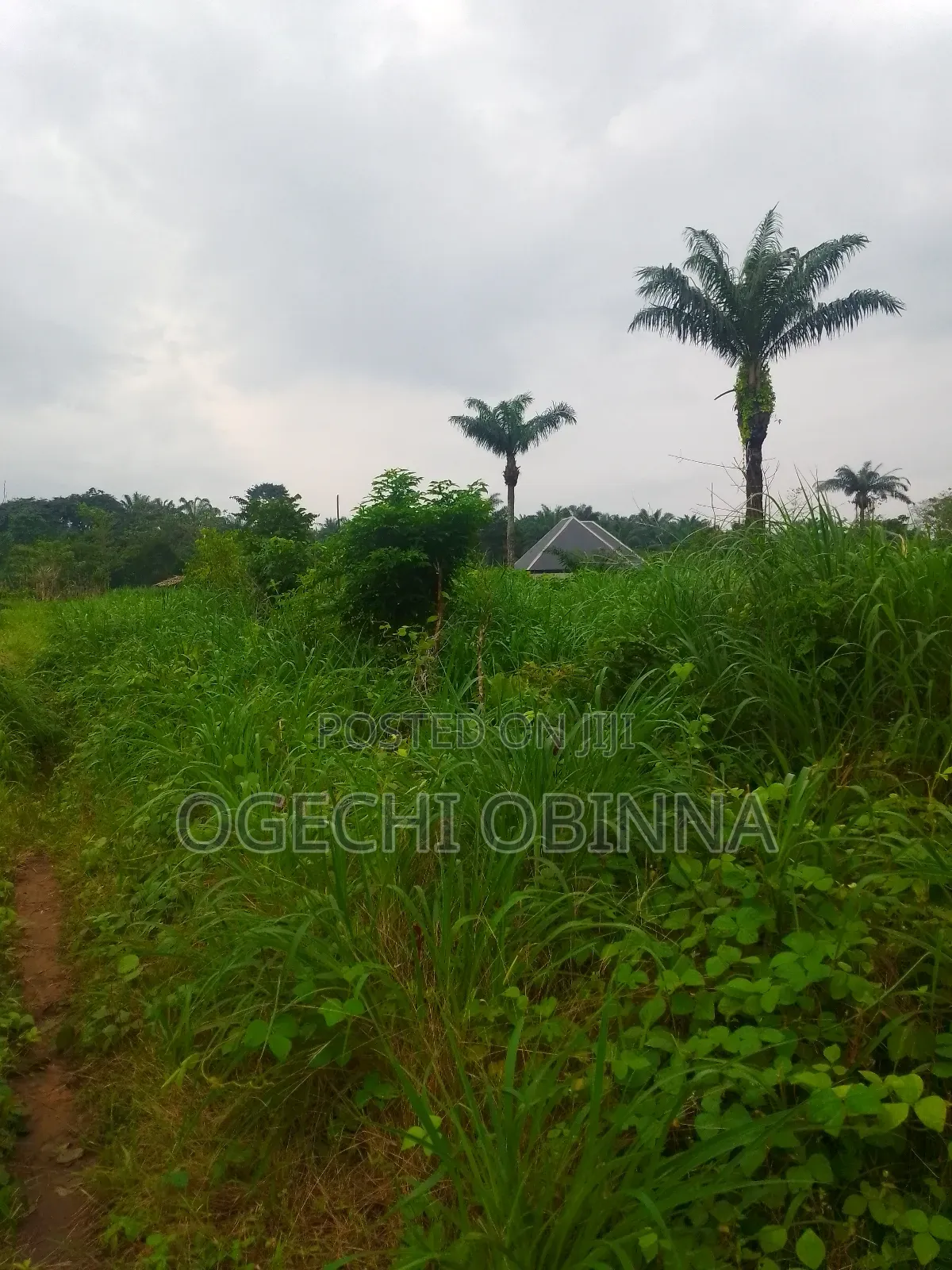 Distress Buy and Build Land for Sale at Etche Rivers State