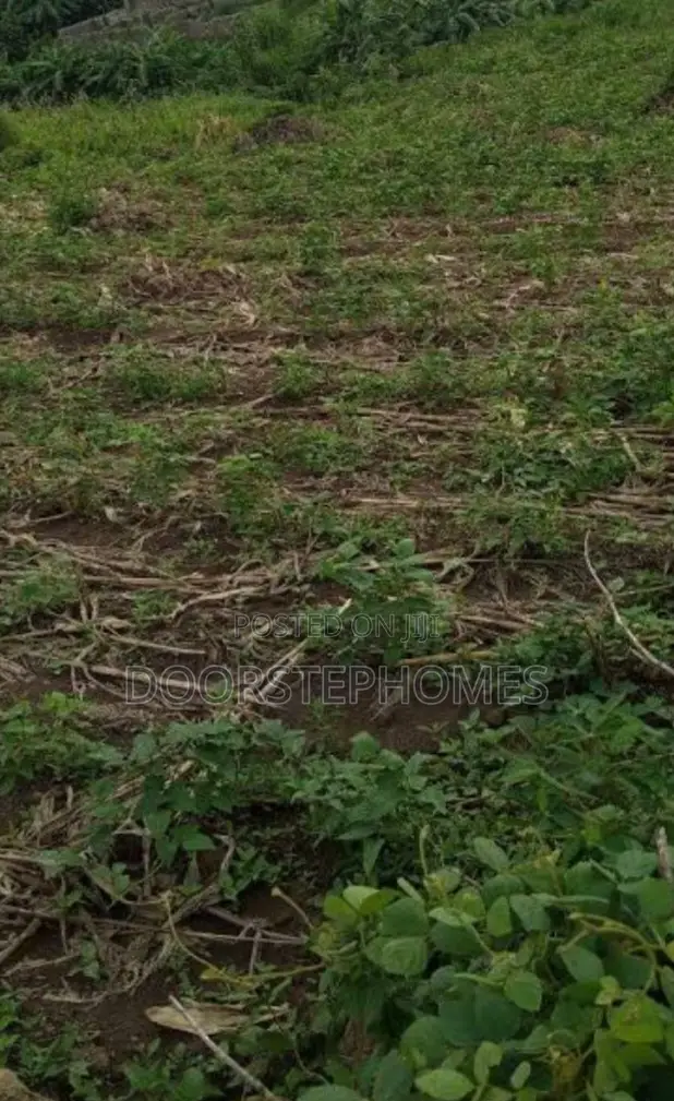 1237.67sqmm Residential Land for Sale in Apo Dutse