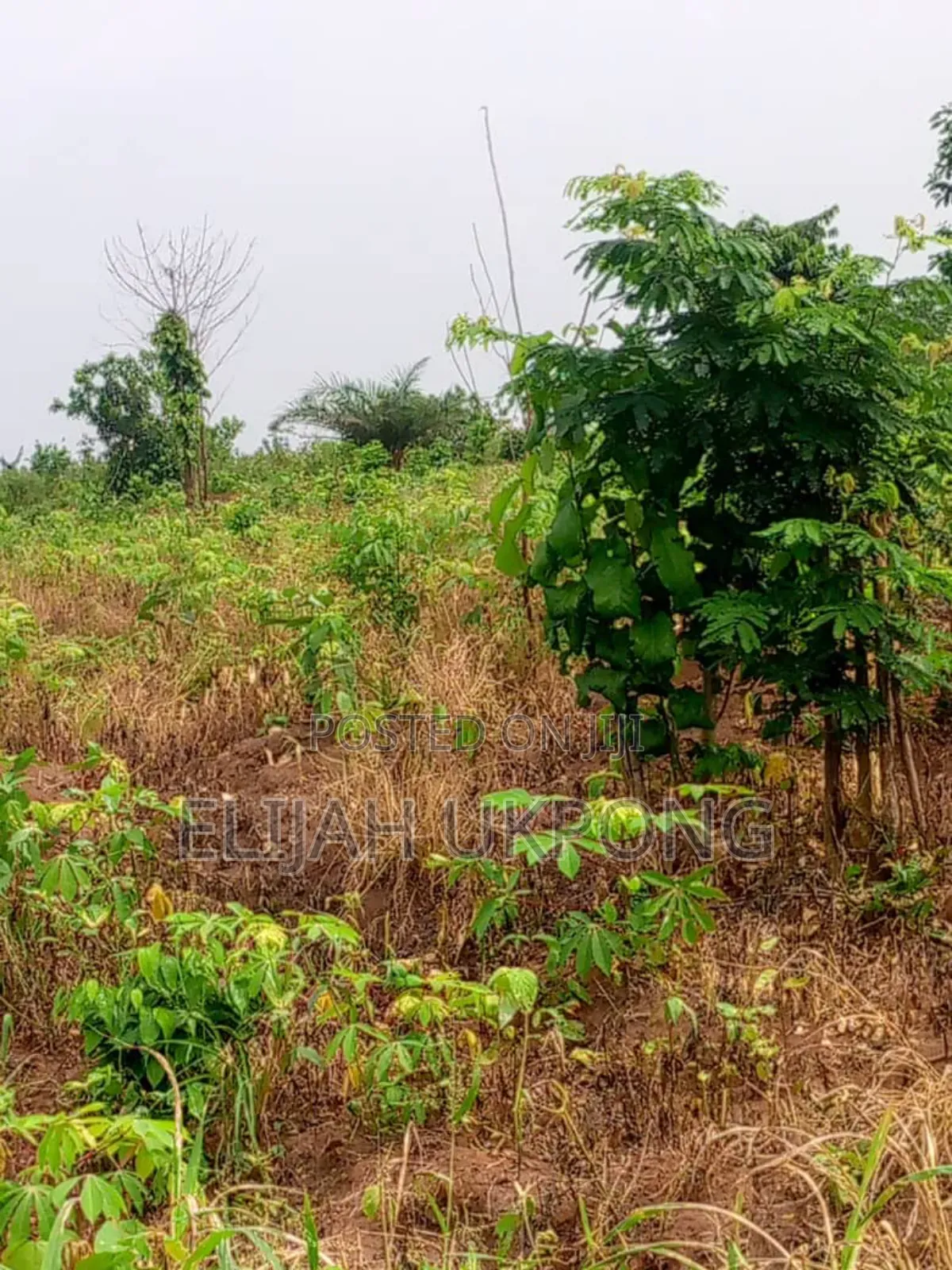 20 Plots of Land for Sale