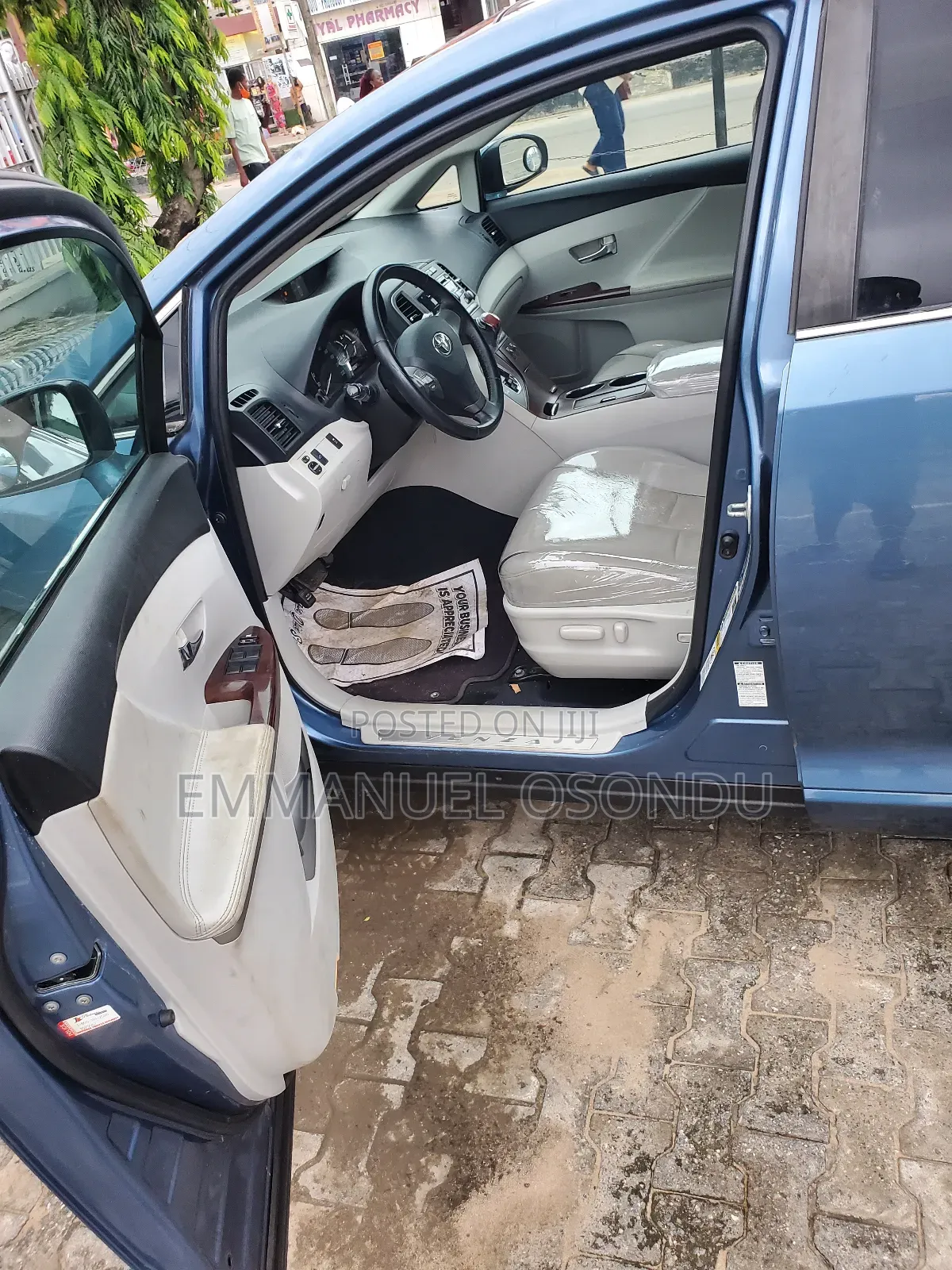 Toyota Venza 2009 Blue