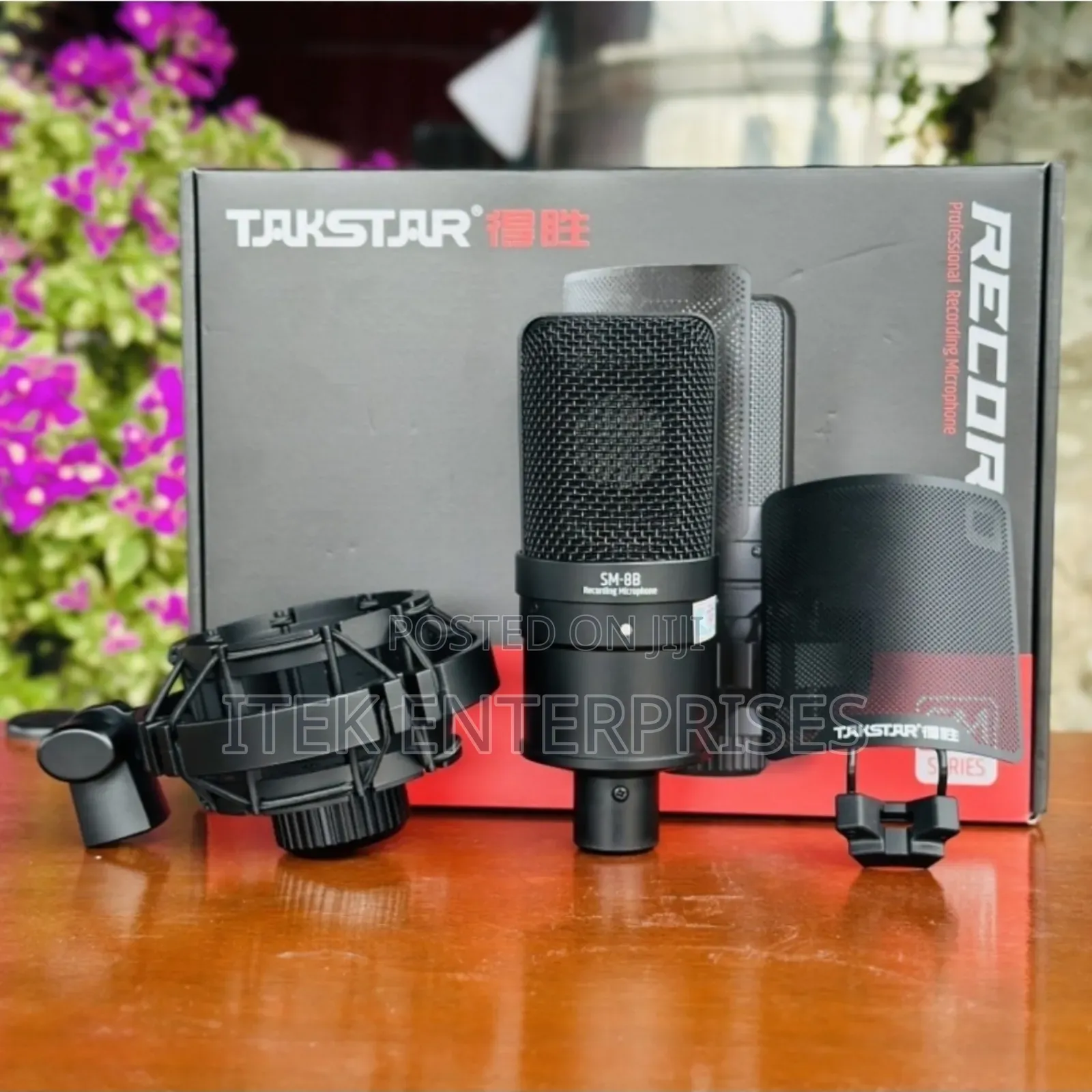 Takstar Sm-8b Professional Condenser Recording Microphone – Studio