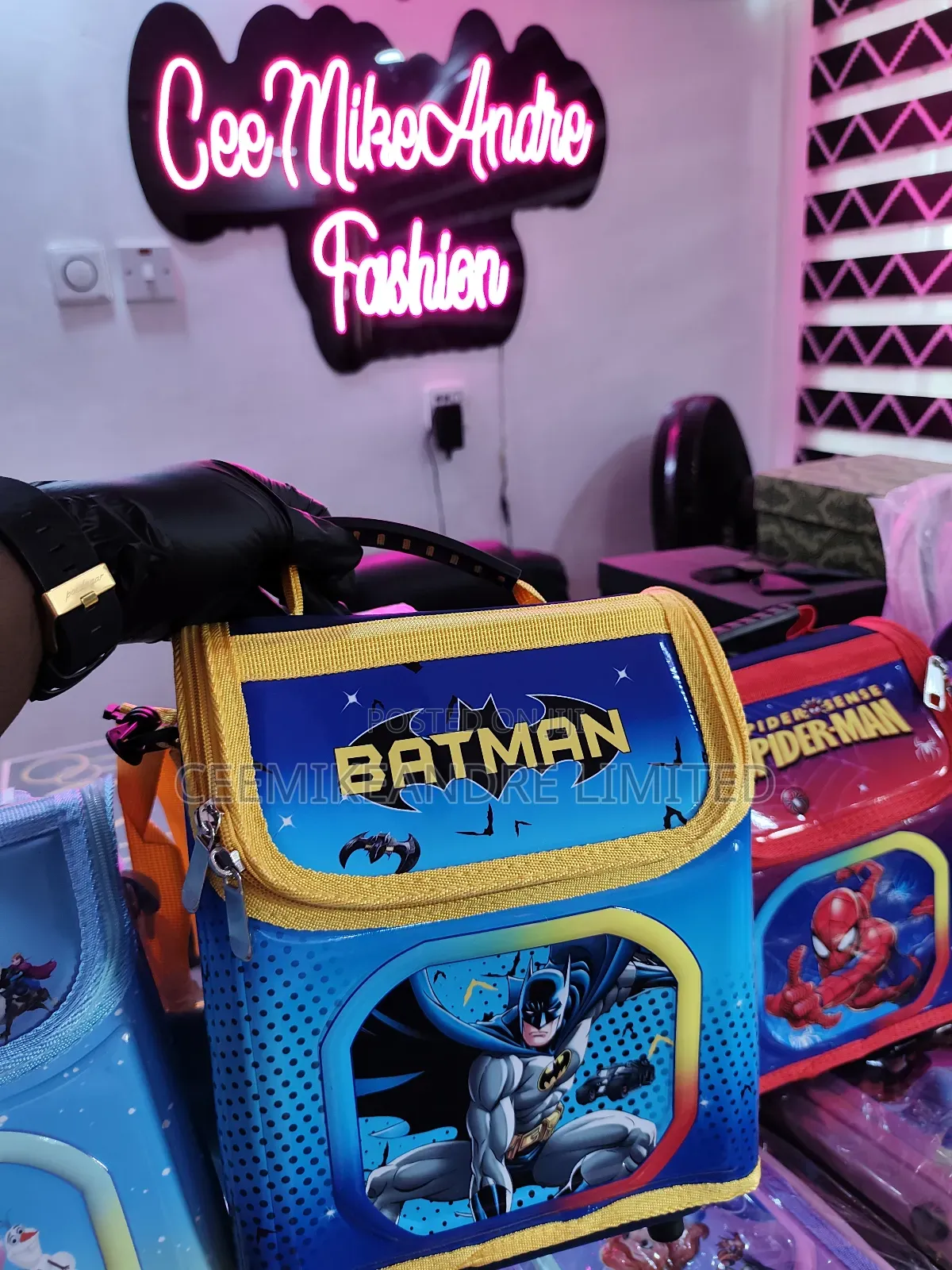 Character Lunch Bags