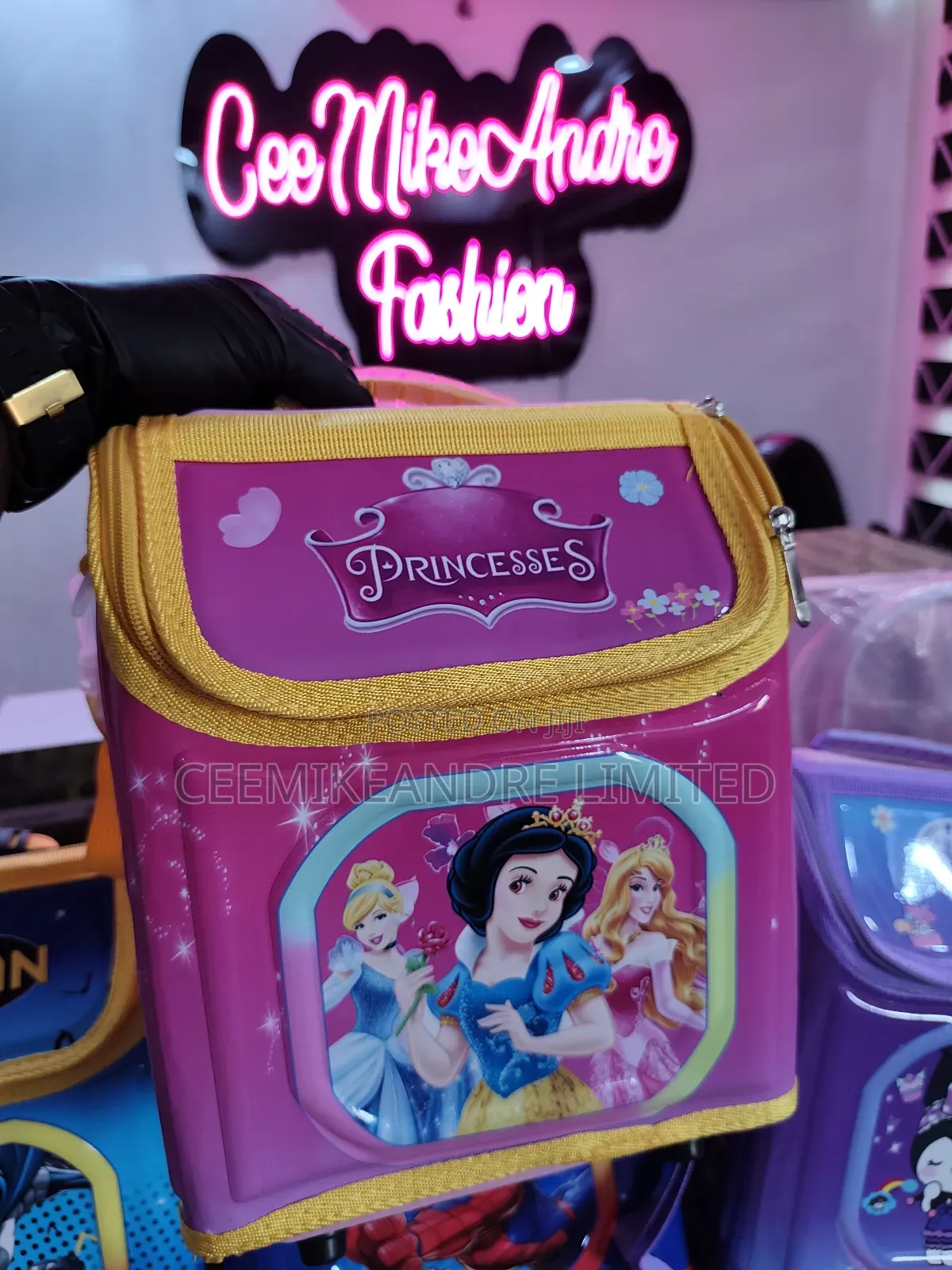 Character Lunch Bags