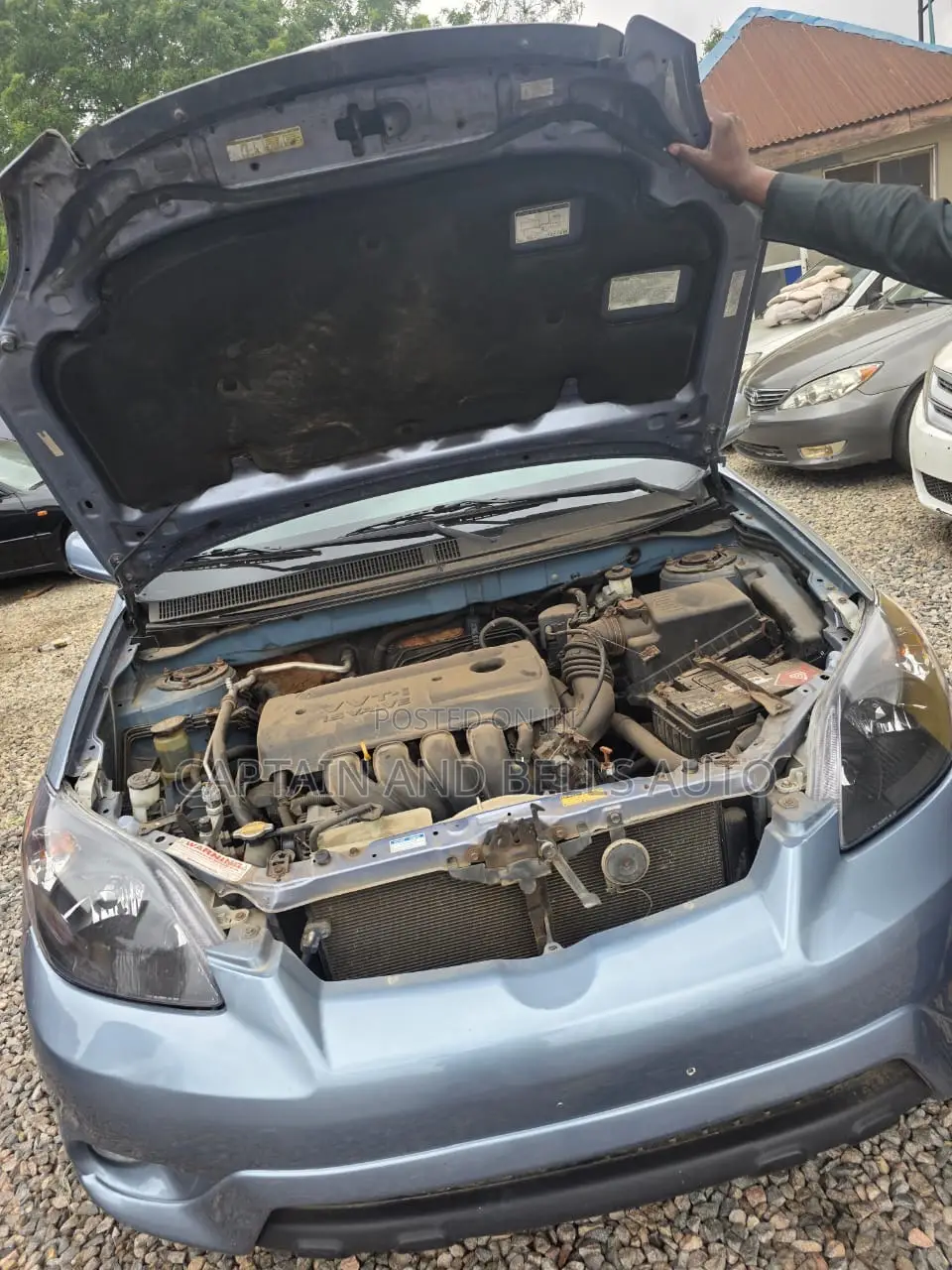 Toyota Matrix XR Hatchback AWD (1.8L 4cyl 4A) 2006 Blue