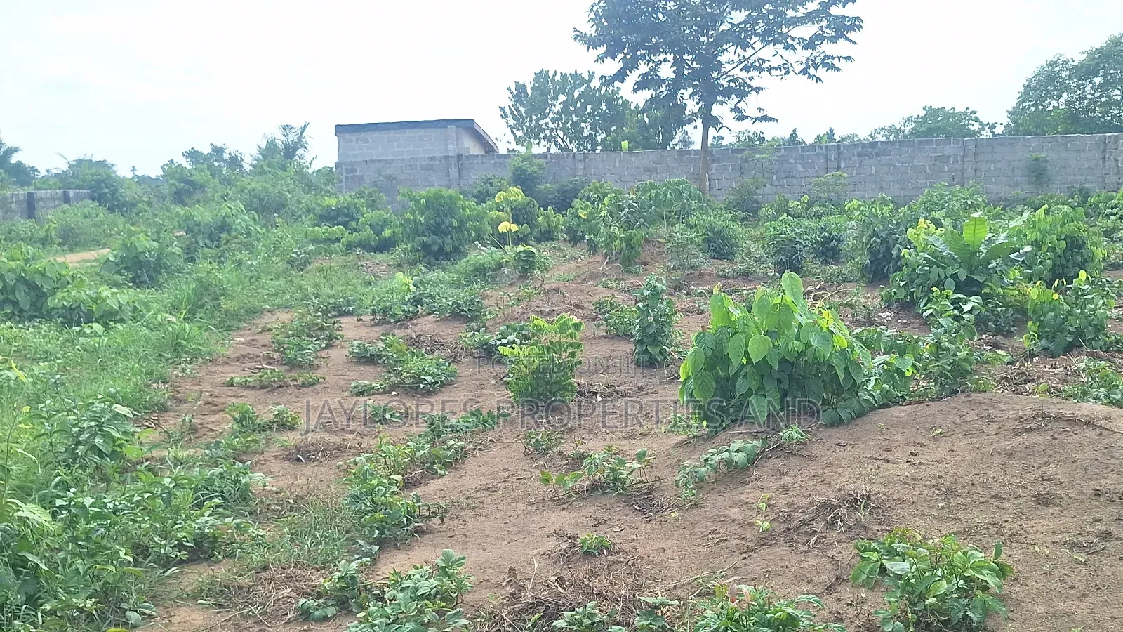 For Sale : 5 Plots at NDDC Road, Off Eneka-Igwuruta, Port Har