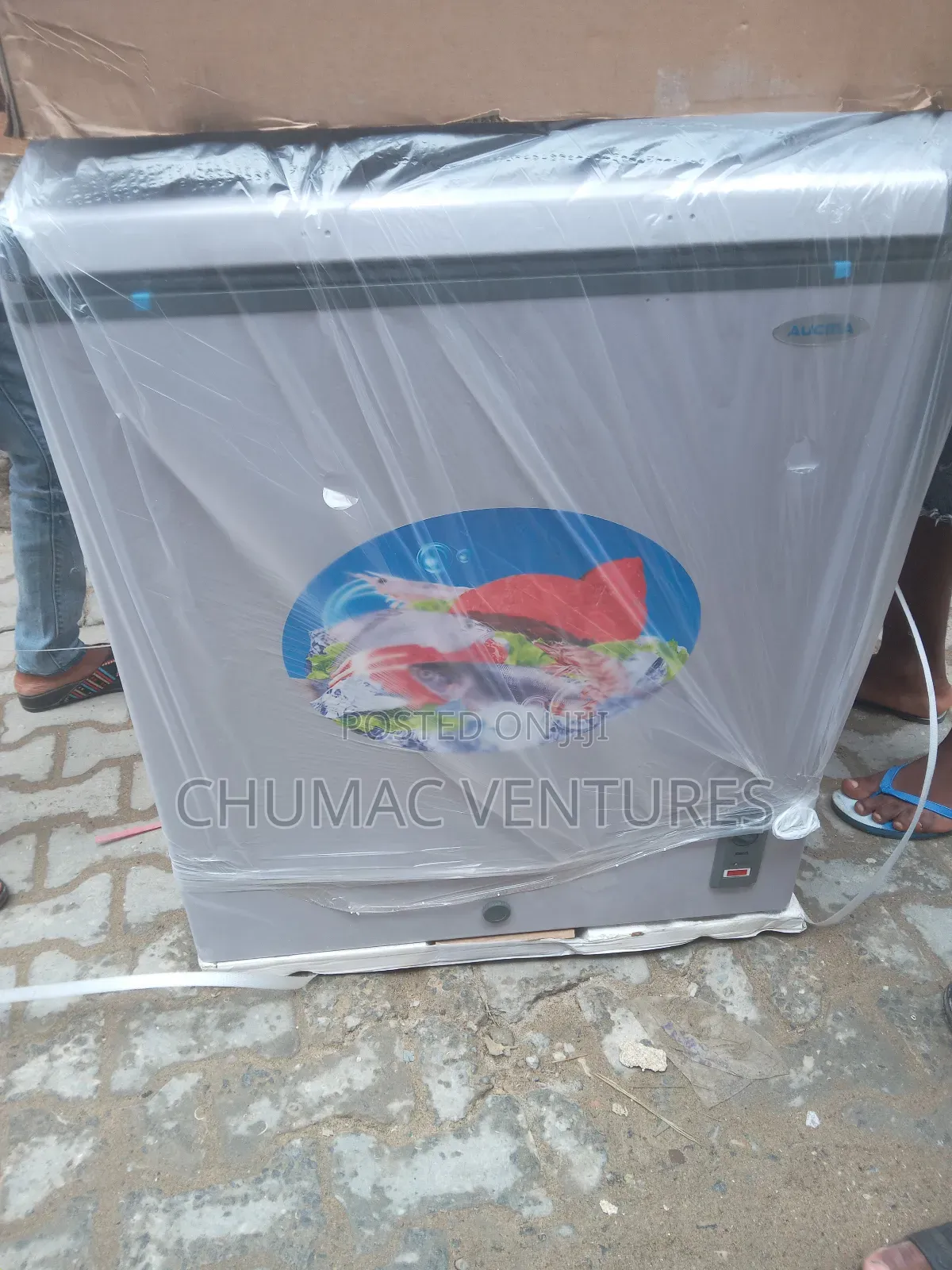 Chest Frizer 150 L