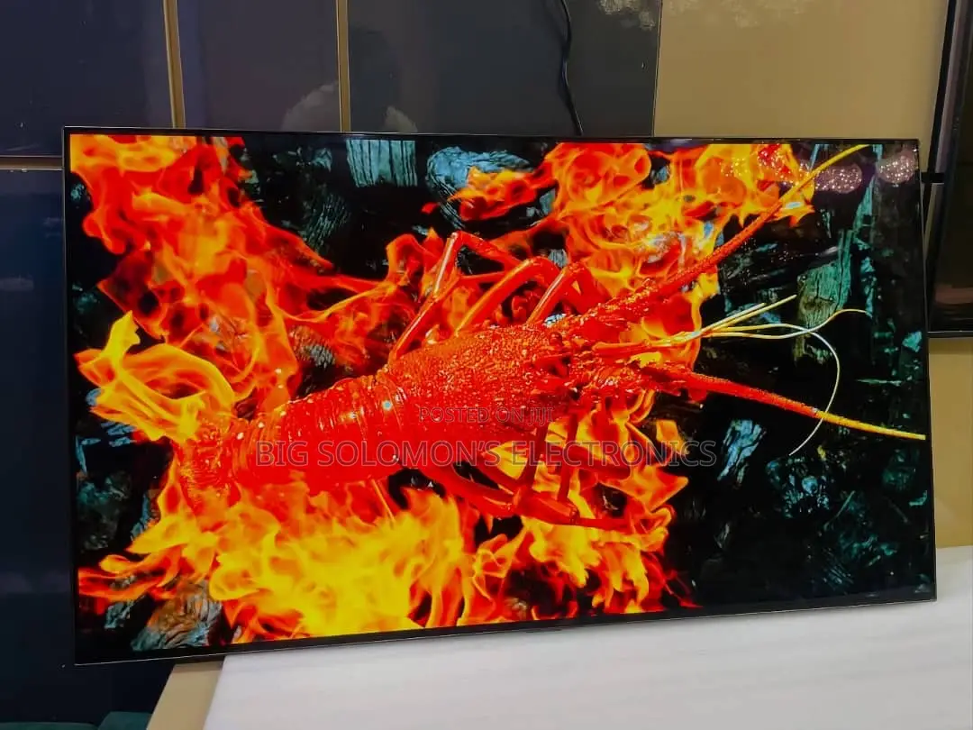48inch Lg Oled C4 Resolution Smart Tv