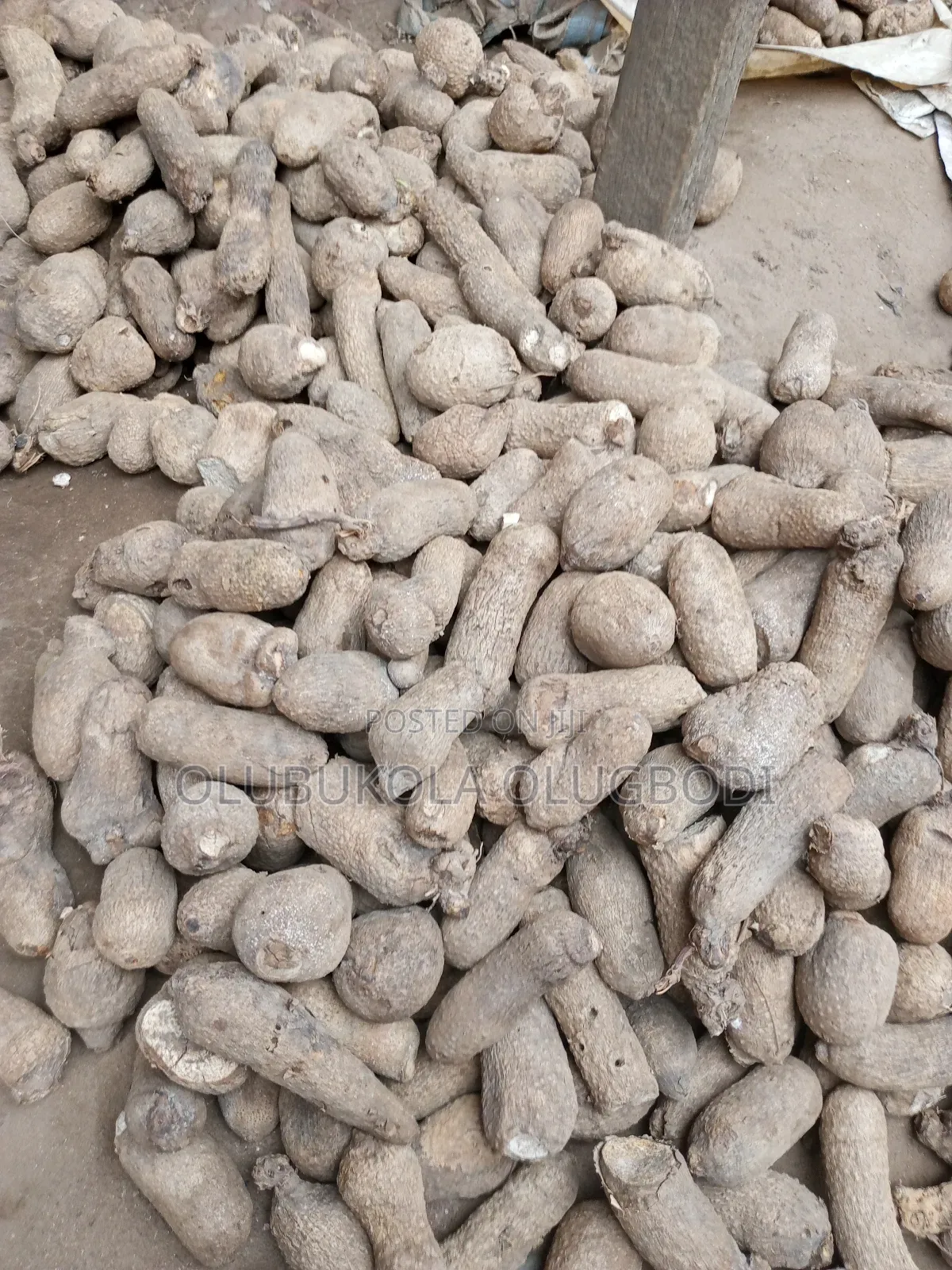 Benue and Abuja Yam Set