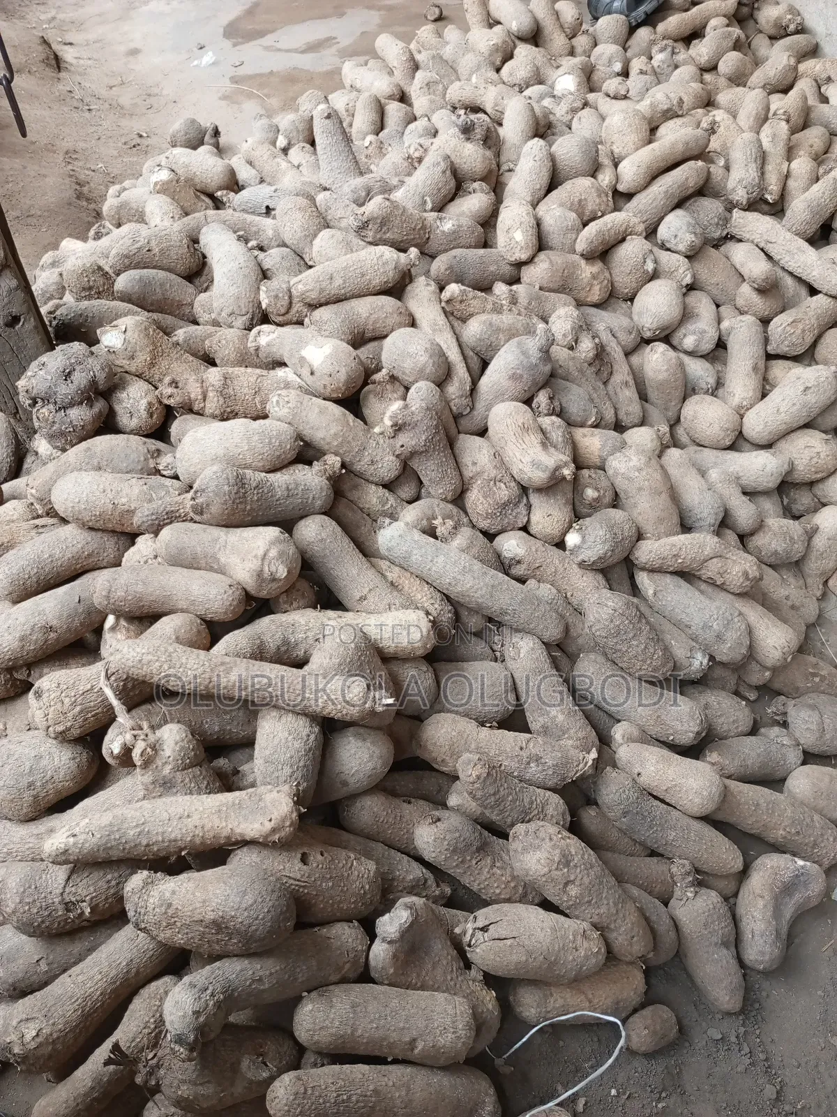 Benue and Abuja Yam Set