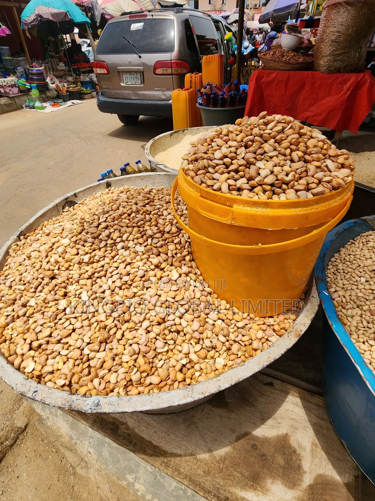 Clean Brown Beans (Honey Beans) Stone-Free Well Sorted (Per Painter)