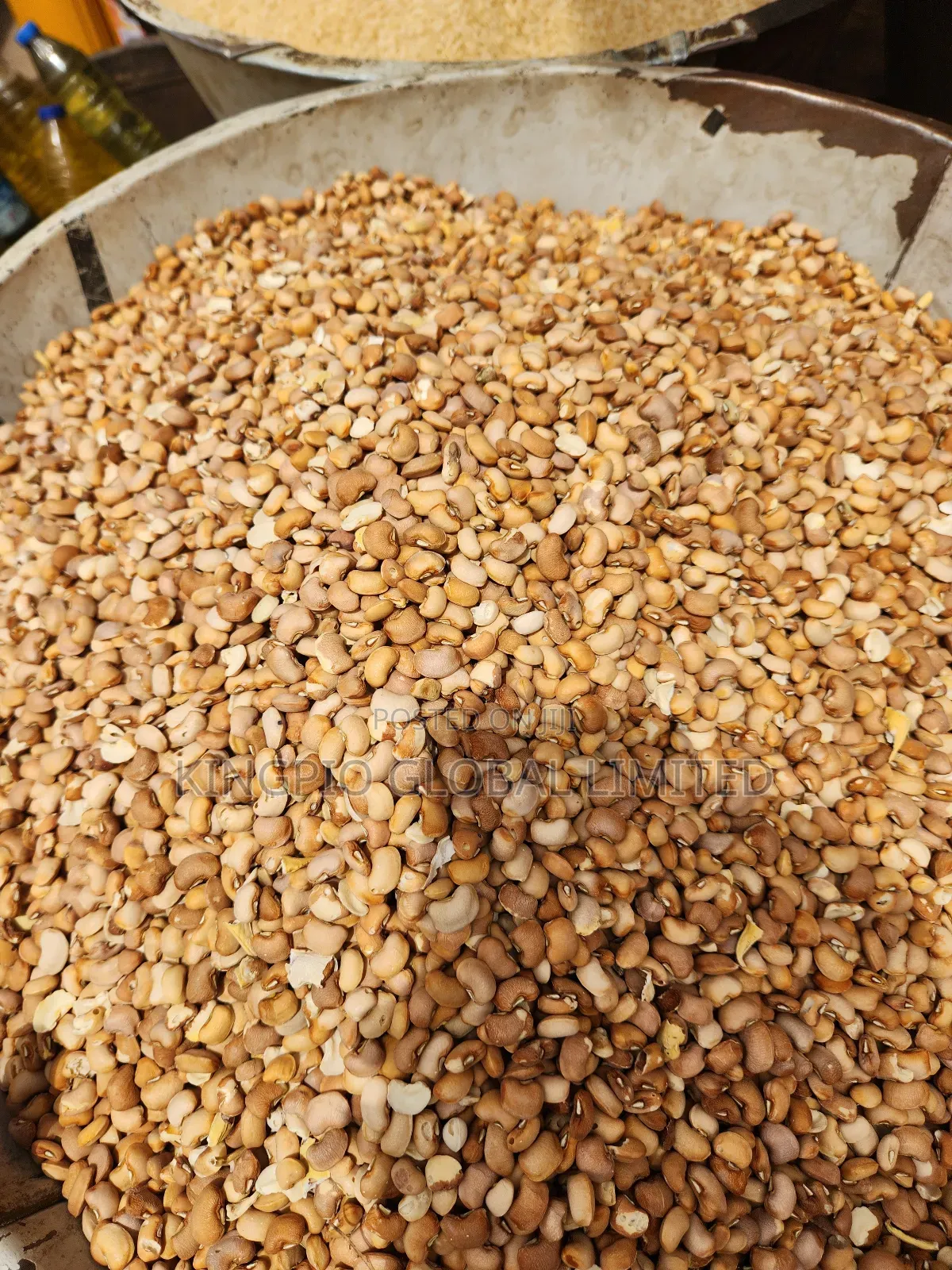 Clean Brown Beans (Honey Beans) Stone-Free Well Sorted (Per Painter)