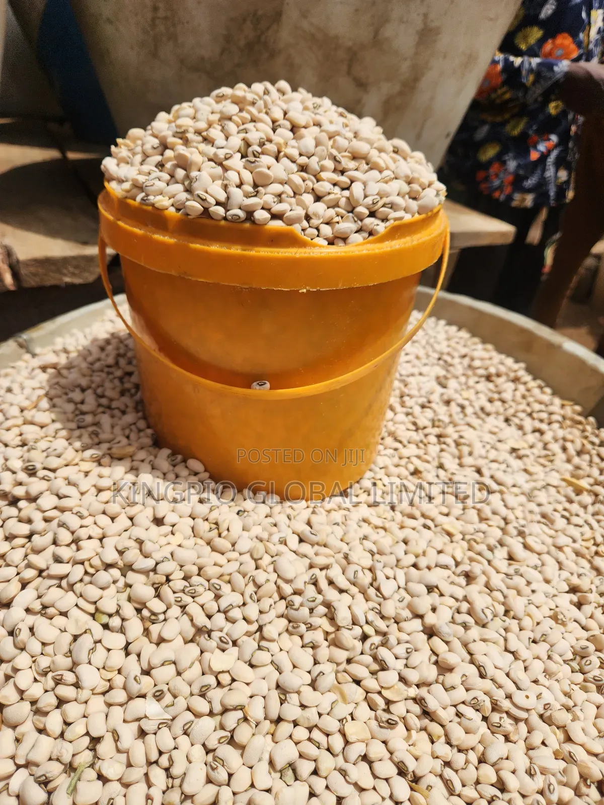 Sweet Cashew Beans (Oloyin) Clean Stone-Free (Per Painter)