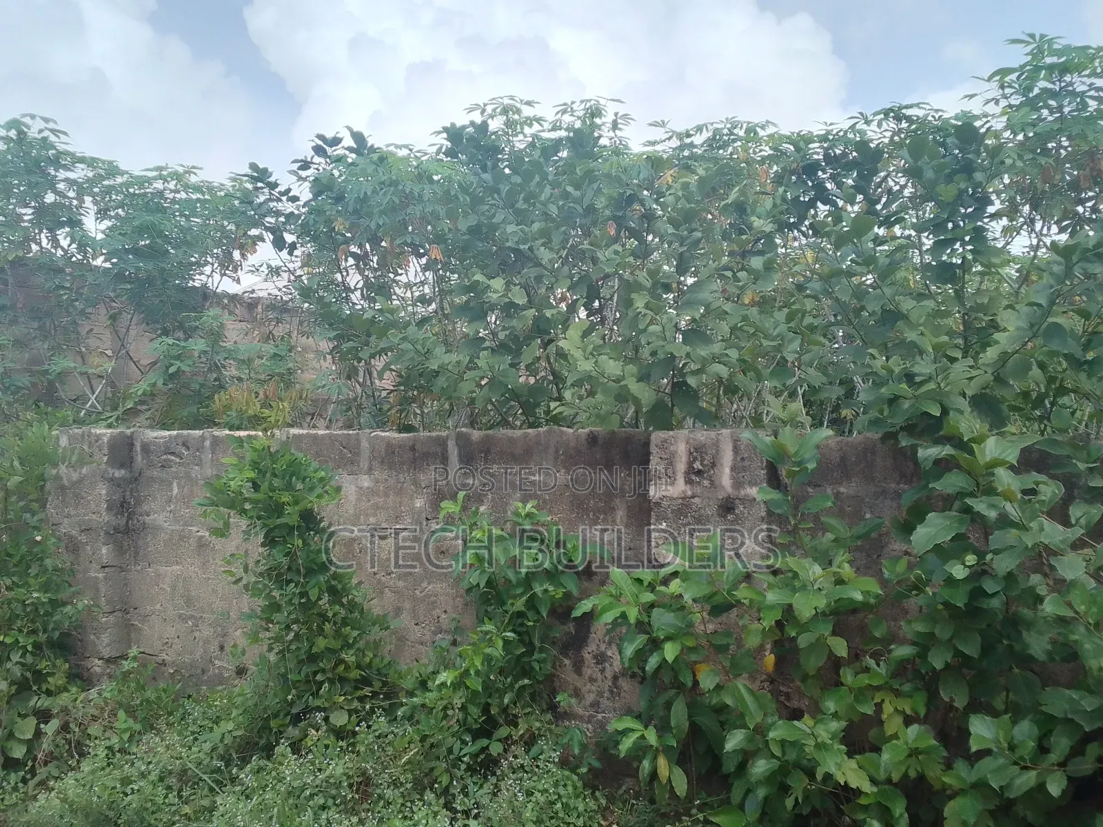 Plot for Sale
