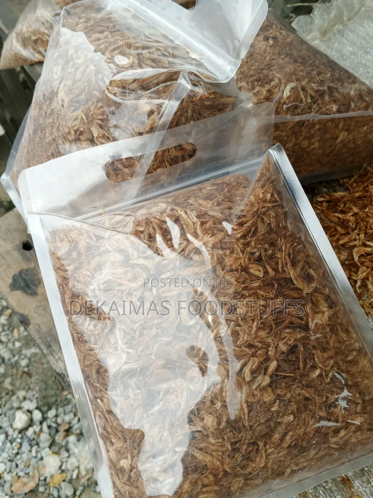 Oron Crayfish (Neatly Selected)