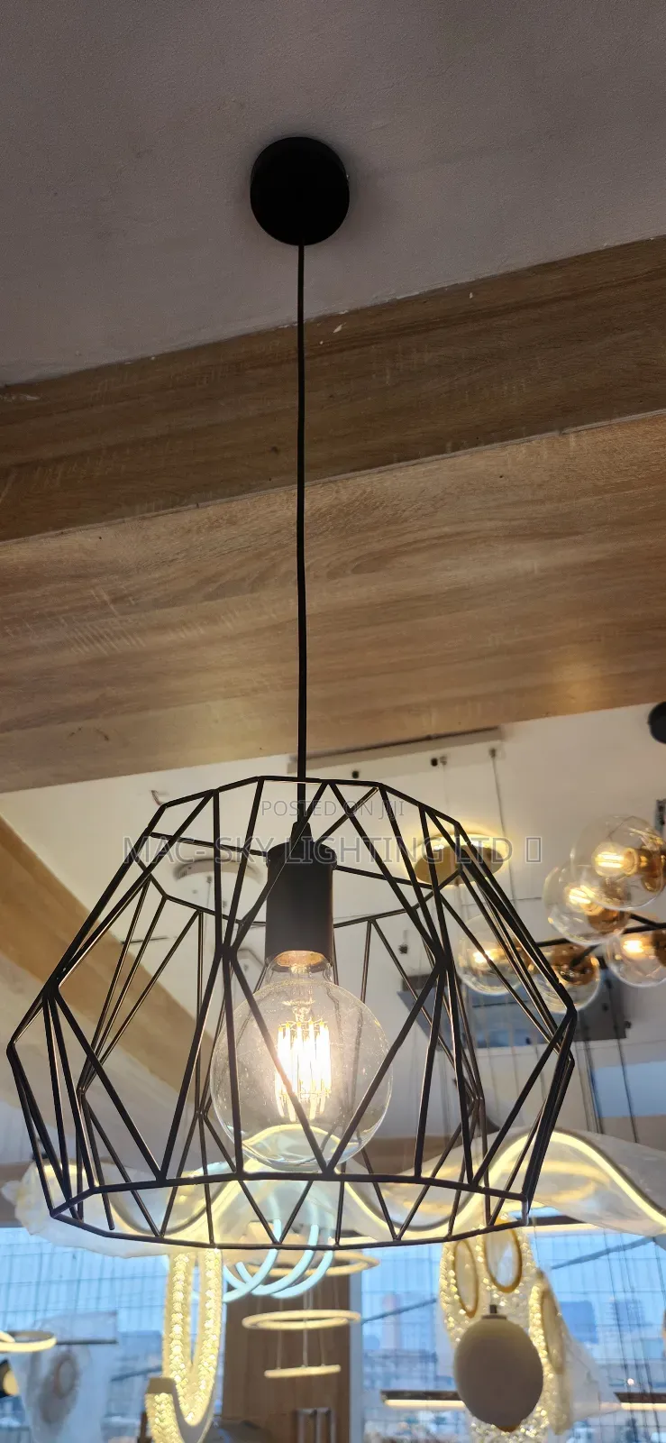 Single Pendant Light