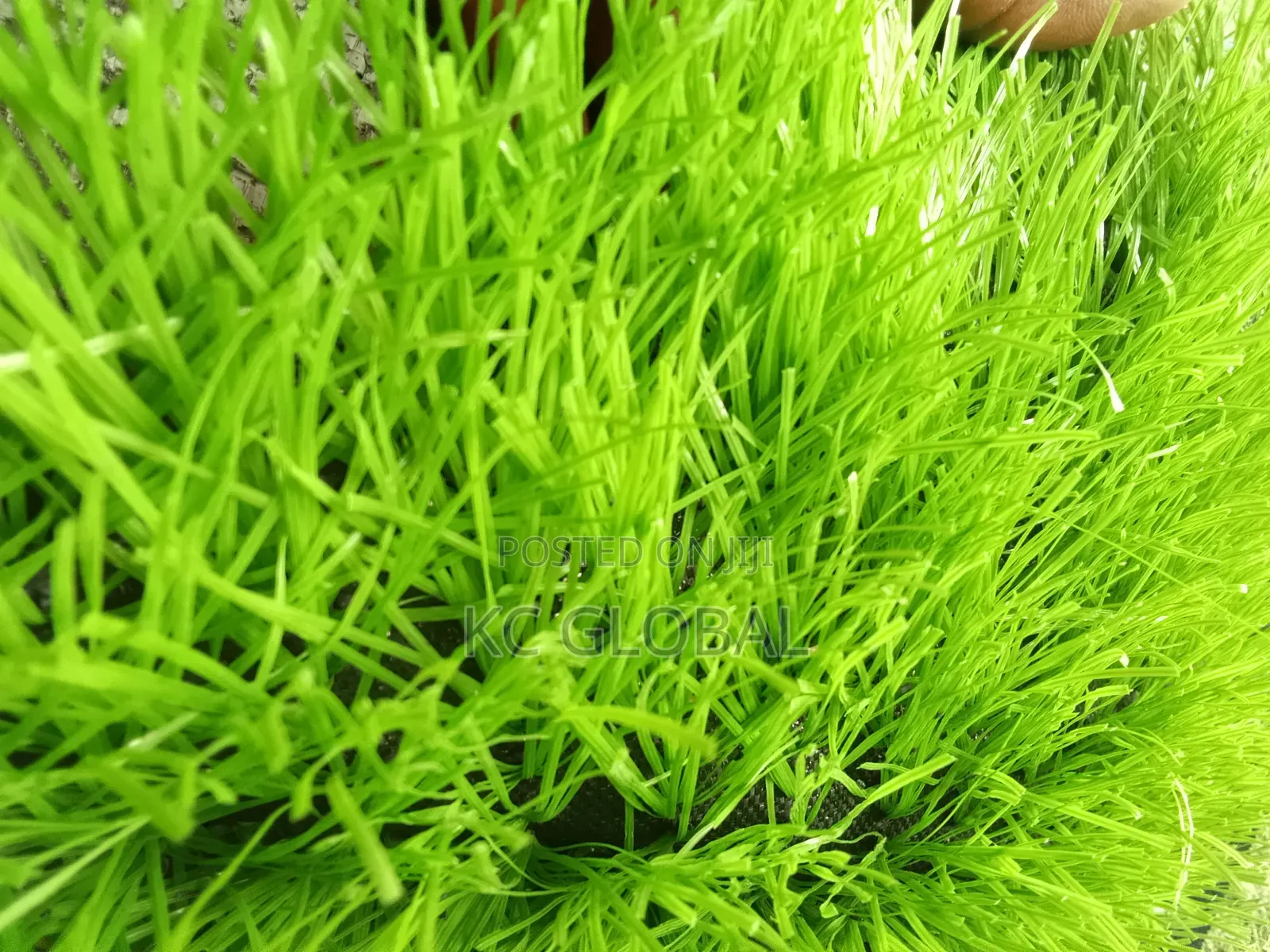 Artificial Grass. High Quality , Available in All Sizes and Colors
