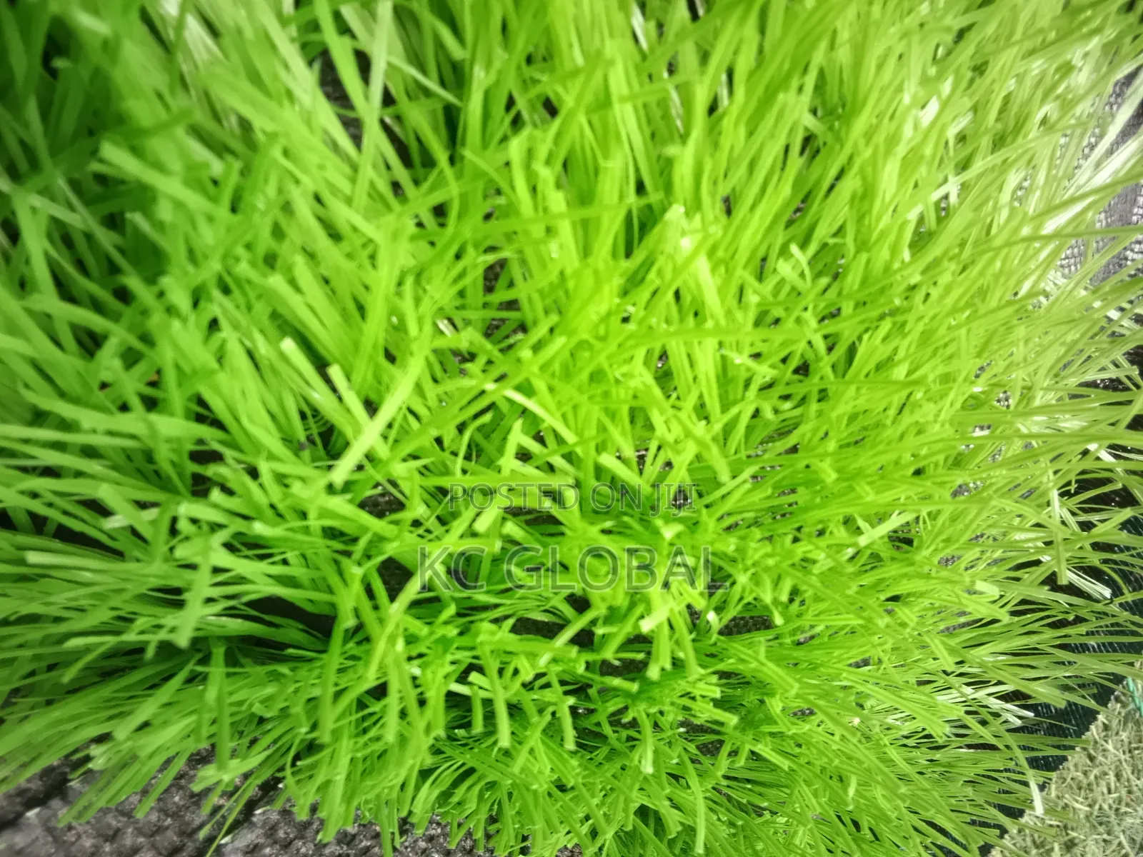 Artificial Grass 45mm. High Quality Grass Available in All Colors
