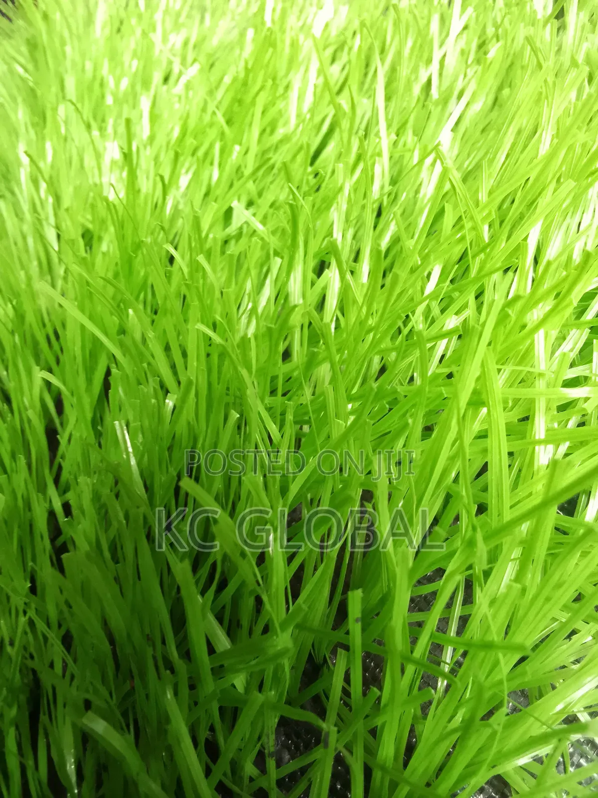 Artificial Grass 45mm. High Quality Grass Available in All Colors