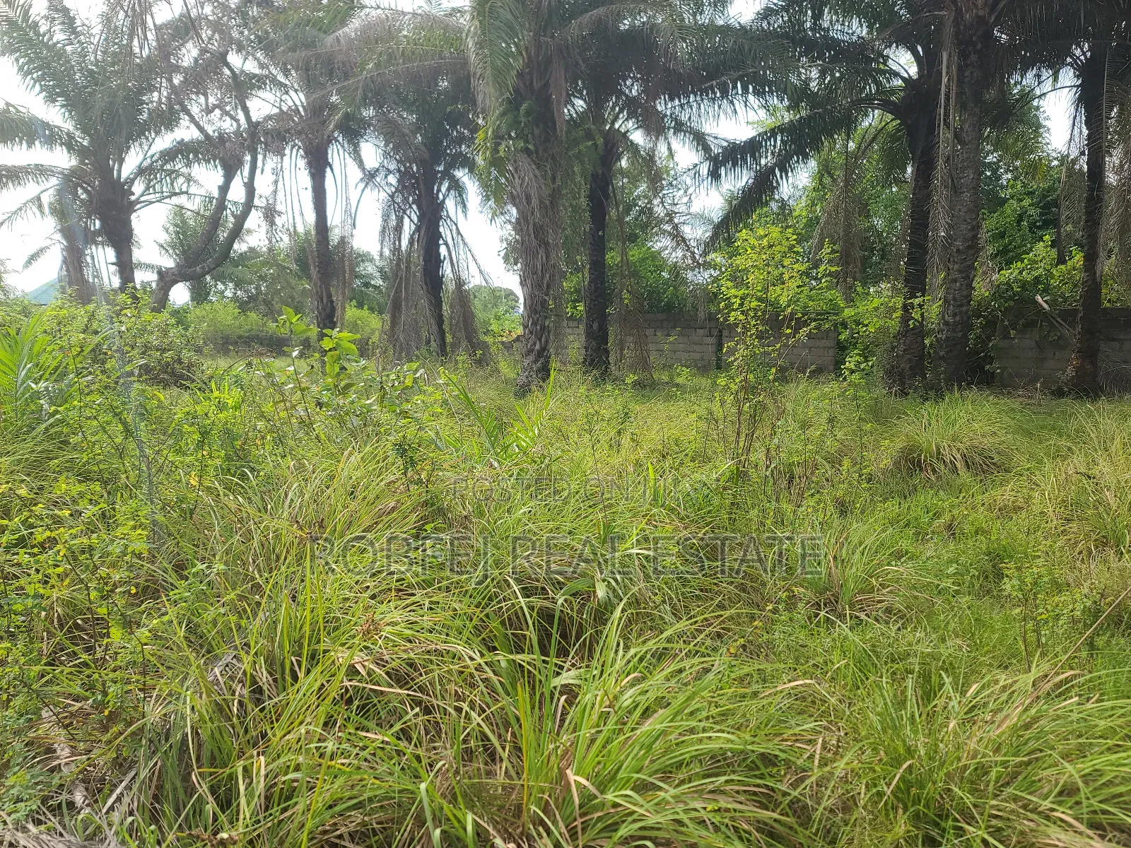 Own an Ocean View Plot for N9m