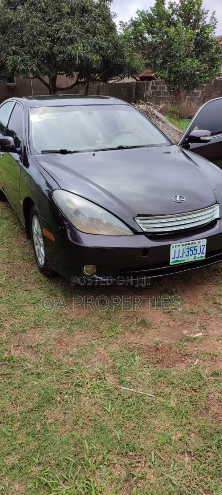 Lexus ES 2004 Matt Black