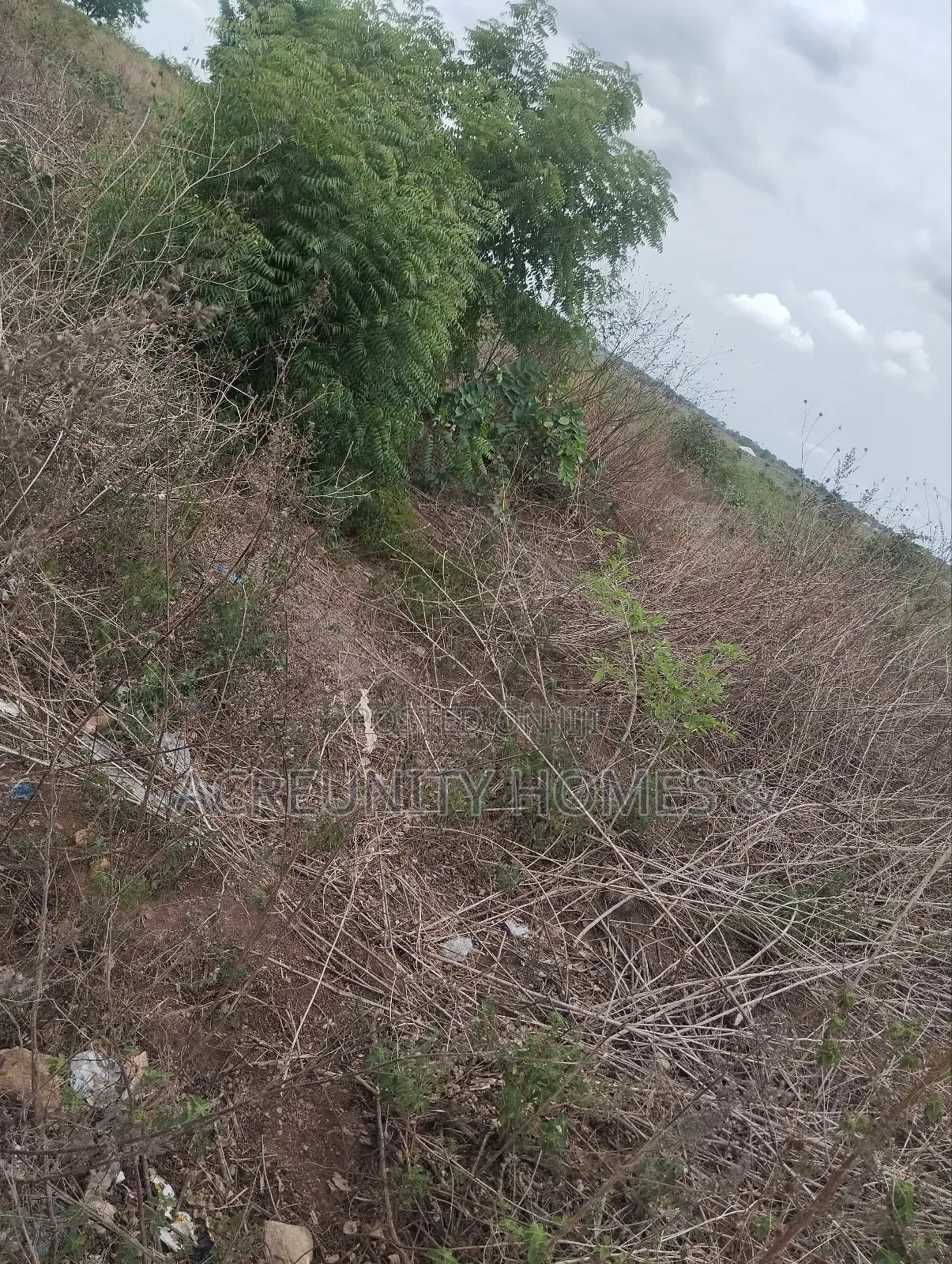 200 Acres of Fertile Farmland–Kisanija Village, Okeho, Kajola Lg Oyo S