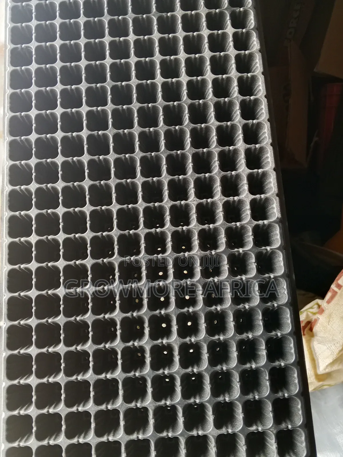 Seedlings Trays