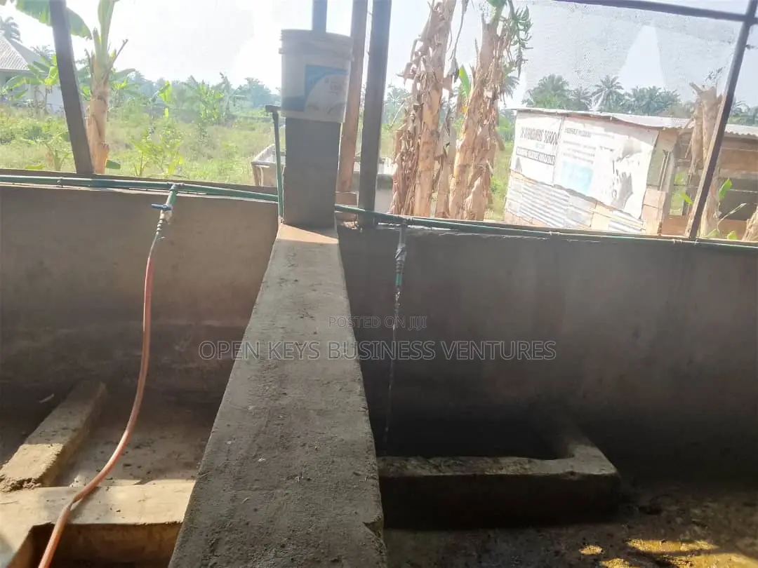 A 7acres of Farm Land in a Nice Location