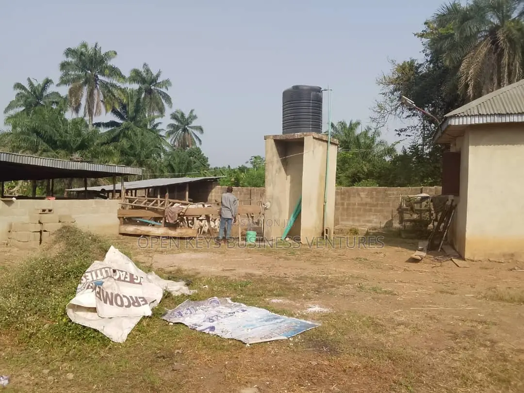 A 7acres of Farm Land in a Nice Location