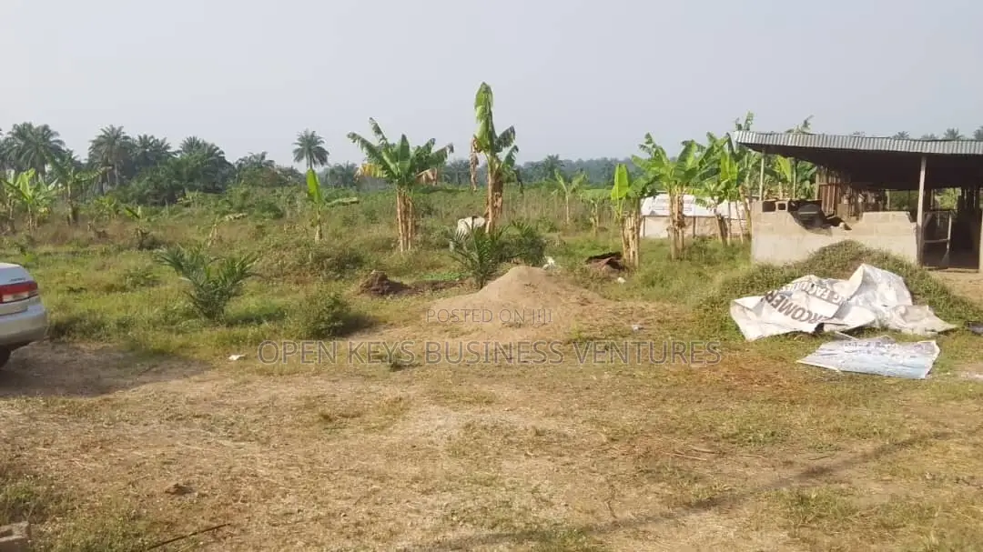 A 7acres of Farm Land in a Nice Location
