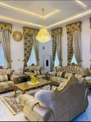 Luxury Imported Royal Sofa Chair