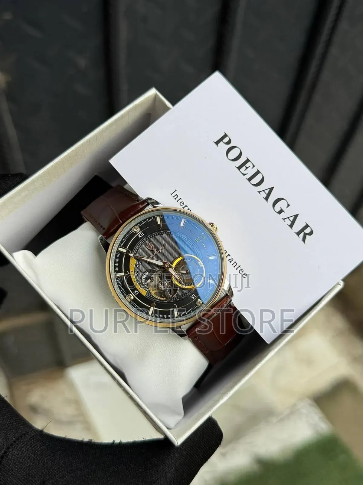 Poedagar Chronograph Automatic Mechanical Movement *Leather* Watch