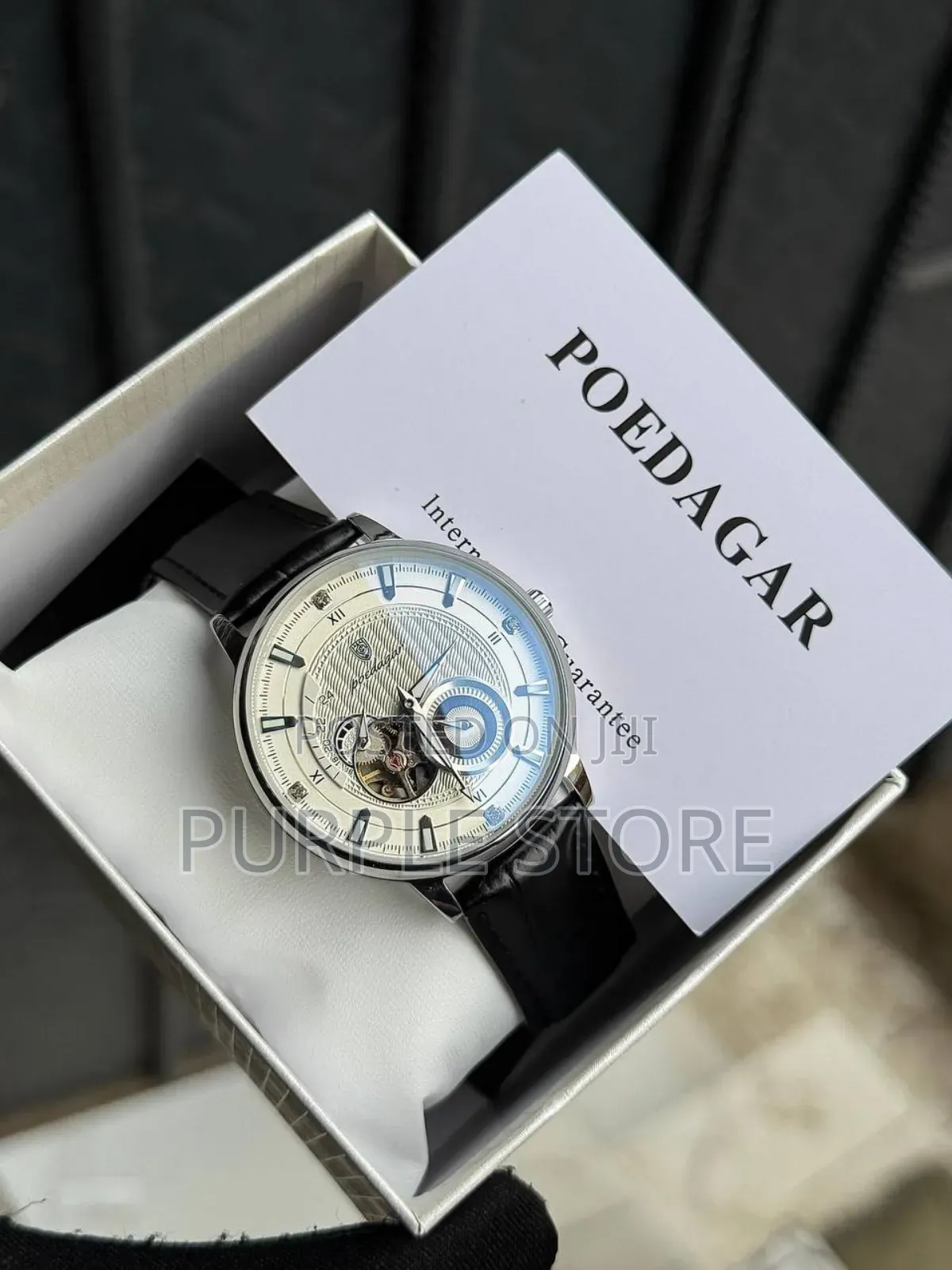 Poedagar Chronograph Automatic Mechanical Movement *Leather* Watch