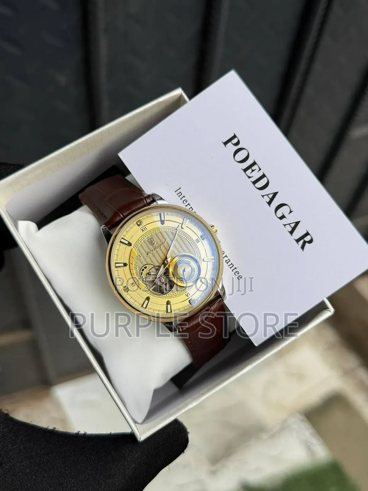 Poedagar Chronograph Automatic Mechanical Movement *Leather* Watch