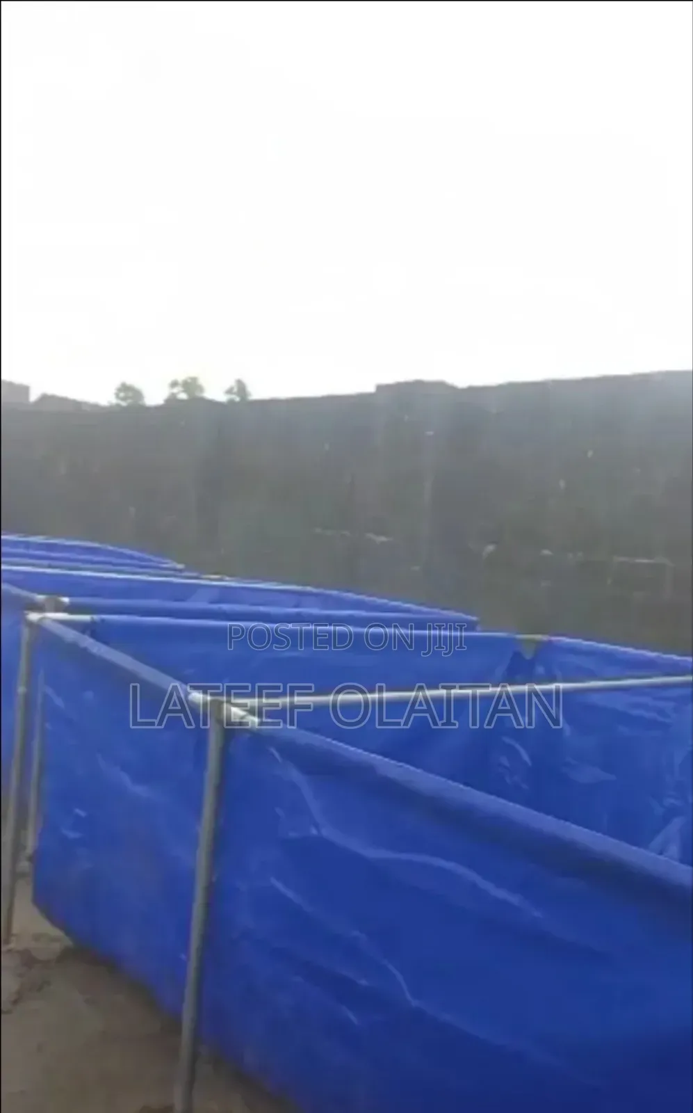 Fishpond 10x15 10x10 12x10