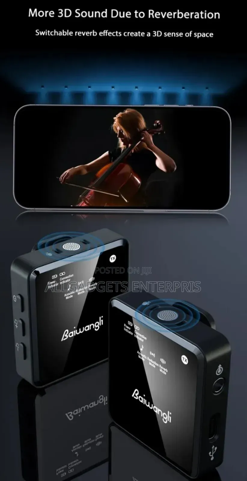 Baiwangli Sx39 Wireless Microphone