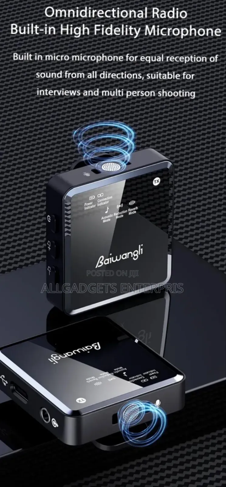 Baiwangli Sx39 Wireless Microphone